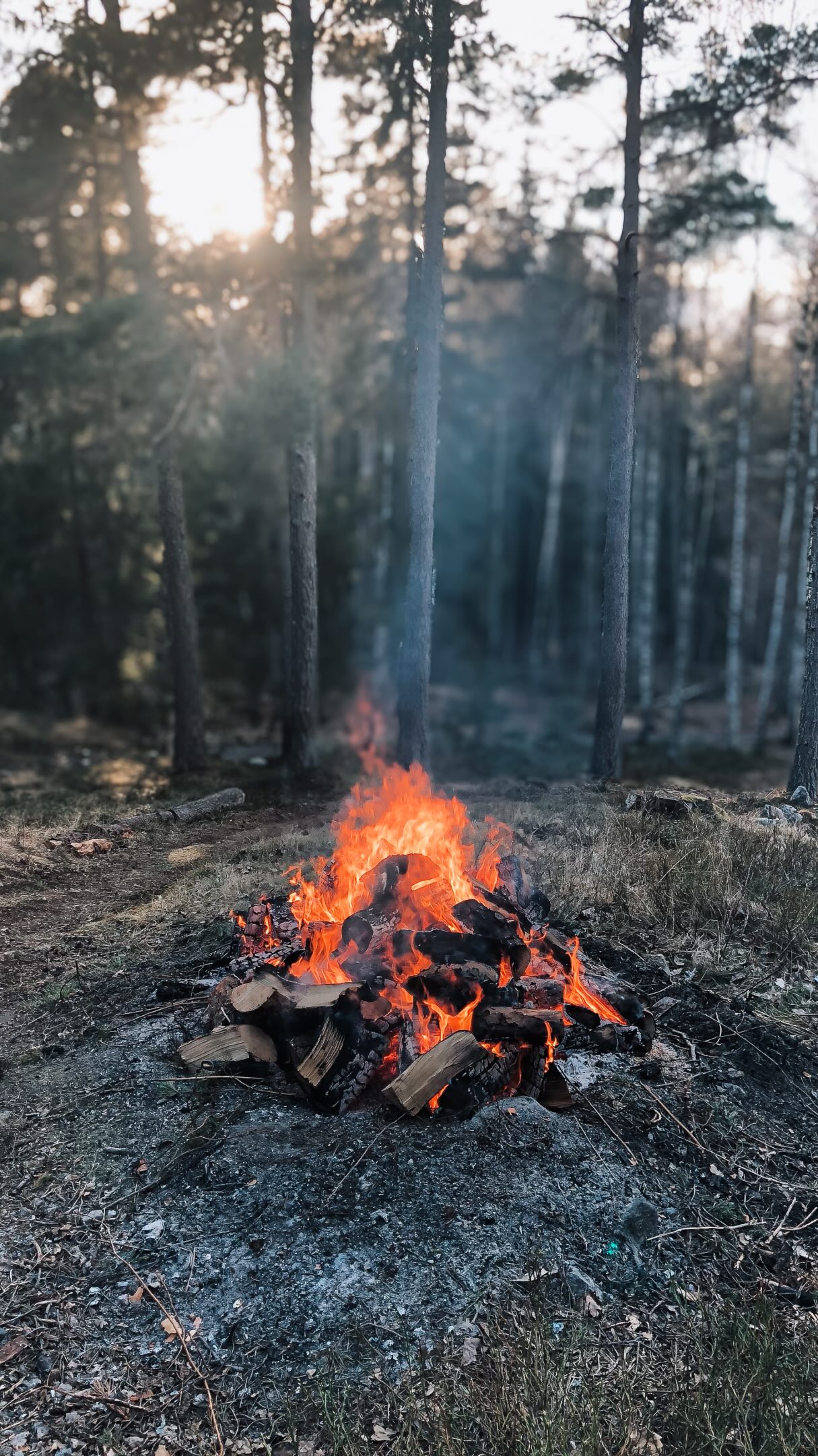 Finns det något du länge velat kasta in i brasan, men ännu inte vågat? 🔥
Att rensa, släppa taget och låta det gamla brinna är något som ligger djupt i oss.
Valborg har i århundraden handlat om att elda upp och ge plats för nytt. Vi tänder bål, sjunger in våren och låter bokstavligen vintern gå upp i rök. Detta är en uråldrig visdom. Elden renar!
Det är lätt hänt att en ritual som Valborg blir en tradition ”som bara sker.” Musiken klingar med sina igenkännbara strofer och melodier, men lyssnar vi?
Kanske står vi och stampar, istället för att låta upplevelsen få fäste och omfamna oss helt. Vi fotar, scrollar eller tänker på annat, istället för att på djupet ta in denna transformerande ritual och känna efter…
🎨 Expressive Arts och imagination
Inom Expressive Arts arbetar vi med den inre föreställningsvärlden – imaginationen. Den finns inom oss alla. Vi ger plats för skapande handlingar och rör oss mellan att forma genom kreativa uttryck och reflektera kring det vi är med om. Vi prövar, utforskar och improviserar. Det är en plats för ett existentiellt samtal med hjälp av konsten. Vi skapar ett tryggt rum där var och en kan möta sig själv på sina villkor.
🔥 Kanske det är dags att fira in våren på ett nytt sätt i år?
Ta Majbrasan lite mer på allvar...
En möjlighet att släppa taget och ta emot. Ge plats för överraskningar och de känslor och bilder som visar sig.
🌱 Denna Valborg kan du fråga dig själv: vad vill jag släppa taget om, låta brinna och gå upp i rök? Vad vill jag ta med in i sommaren?
När du står där framför elden, eller sitter vid middagsbordet och tittar in i en värmande eldslåga, ta ett extra djupt andetag - sätt på ett stycke musik du tycker om och låt musiken hjälpa dig att släppa taget om något du burit alltför länge... 🔥
• Hur har du det med att rensa i ditt hem och i ditt liv?
• Finns det något du länge velat kasta in i brasan, men ännu inte vågat?
• Vill du så nya frön för kreativ inspiration?
Önskar dig en riktigt fin och meningsfull Valborg
/Margareta & Teamet på @expressivearts 🎶