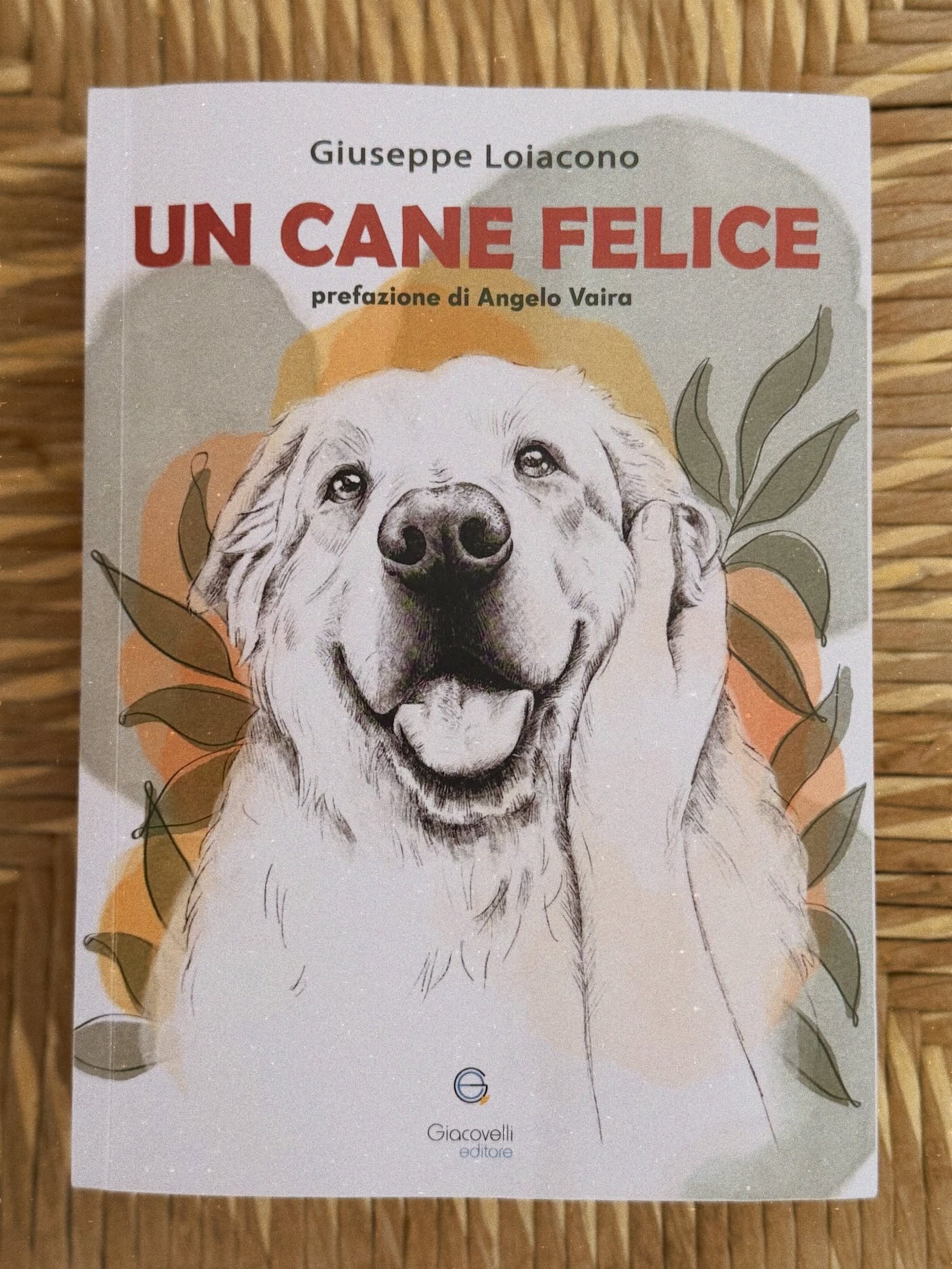 🌳 I miei più grandi amici sono gli alberi.
Silenziosi ma presenti, radicati ma capaci di piegarsi al vento senza spezzarsi.
Mi hanno insegnato che la vera forza non è il controllo, ma la capacità di adattarsi, ascoltare e crescere nel tempo.
Osservando gli alberi ho imparato molto anche sui cani.
Un cane, proprio come un albero, ha bisogno di radici sicure per potersi aprire al mondo. Ha bisogno di stabilità, di nutrimento emotivo, di spazio per esprimersi e di qualcuno che sappia rispettare i suoi tempi di crescita.
Nel mio percorso nell’educazione cinofila ho compreso che non esistono scorciatoie: ogni relazione, come ogni albero, cresce lentamente.
Con pazienza.
Con presenza.
Con fiducia.
“Un cane felice” edito da @giacovelli_editore nasce proprio da questa visione.
Dall’idea che educare non significhi dominare, ma accompagnare. Non imporre, ma comprendere.
Così come un giardiniere non “costringe” un albero a crescere, ma crea le condizioni migliori affinché possa farlo, anche noi dovremmo imparare a guidare i nostri cani attraverso la relazione, l’ascolto e la consapevolezza.
Ogni capitolo del libro richiama una parte dell’albero perché ogni parte racconta qualcosa del legame tra uomo e cane.
Credo profondamente che i cani, come gli alberi, abbiano la straordinaria capacità di insegnarci a rallentare, ad ascoltare e a tornare essenziali.
E forse è proprio questo il significato più profondo dell’educazione: non creare obbedienza, ma coltivare equilibrio, comprensione e felicità condivisa.
♥️ Le illustrazioni di ogni capitolo sono state disegnate da Veronica Verrastro @ve_pastelart
👉🏼 Ordina la tua copia di “un cane felice” dal LINK IN BIO
#canefelice #uncanefelice #libricinofili #cinofilia #caniliberi