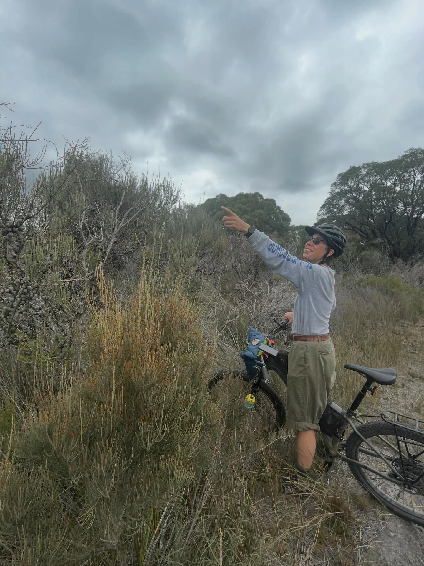 Rain’s comin’! No ride tonight! Sorry, see you next week!