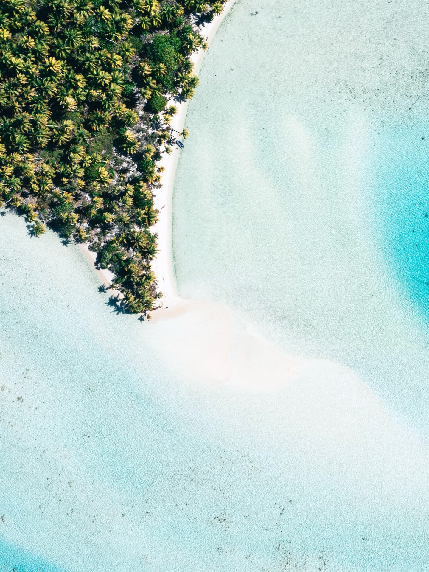 En los Tuamotu, las arenas rosadas revelan un paraíso íntimo y casi irreal.
Para quienes buscan lo excepcional, el viaje empieza aquí.
Permítanos convertir esta visión en un recuerdo verdaderamente excepcional.
.
In the Tuamotu, pink sands unveil an intimate, untouched vision of paradise.
For those seeking the extraordinary, it begins here.
Allow us to shape this vision into a truly unforgettable memory
#MoemoeaTravel #PolinesiaFrancesa #FrenchPolynesia #Tuamotu #PrivateParadise ExclusiveEscape LoveTahiti
