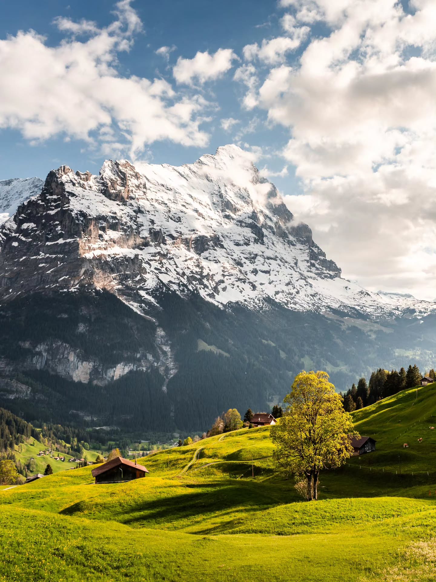 Spring below the Eiger North Face
#grindelwald #switzerland #eiger