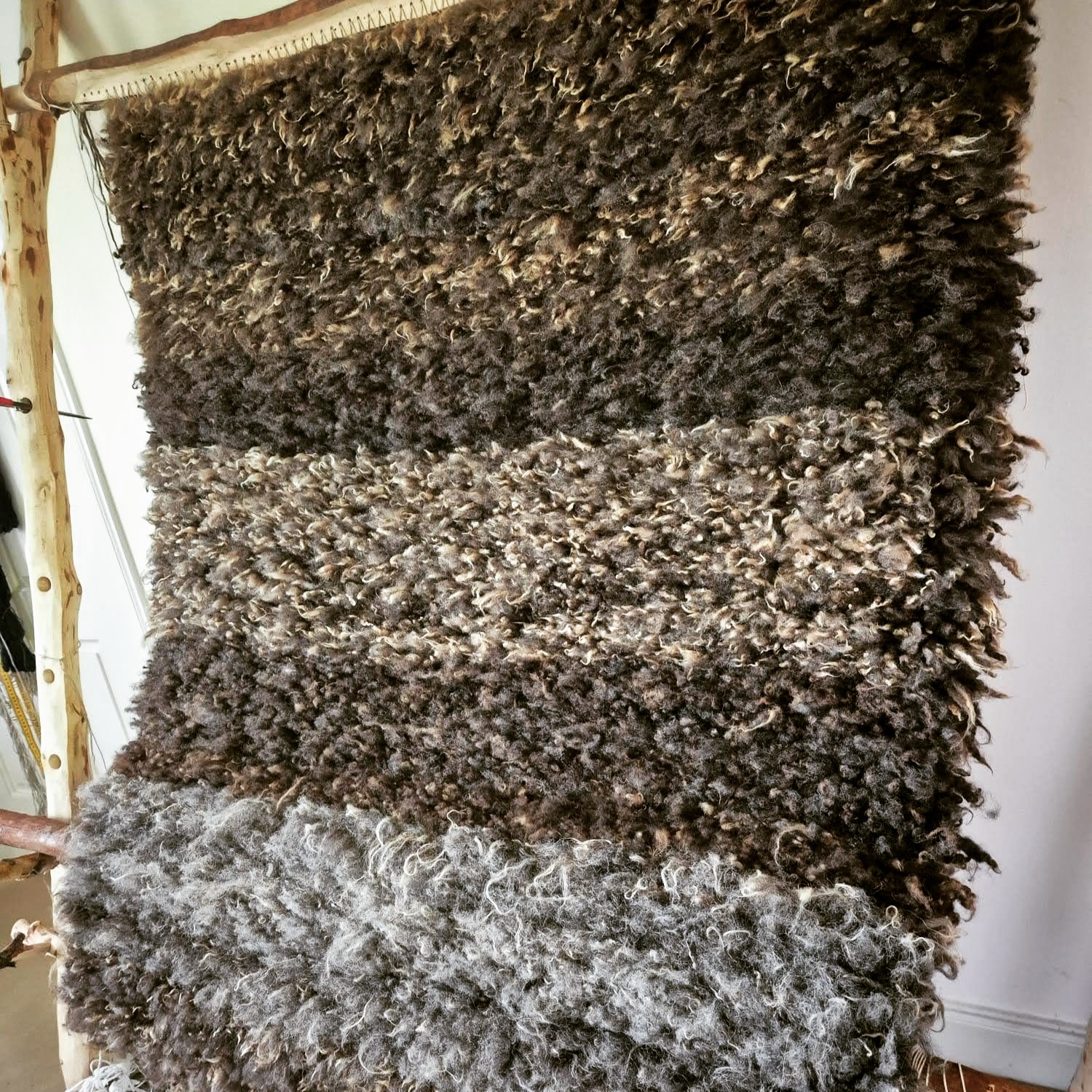 Back home in the South Highlands, work continues apace for this summer's #vararfeldrexhibition launch!
Here you can see my finished vararfeldr viking cloak, based on a fragment found on the isle of Eigg.
Its short, dense tufts of Shetland-style wool made it a marathon to weave, but you can see why ancient weavers considered the crafting time worthwhile:
The result is a lightweight but truly thermal waterproof layer that drapes and moves naturally with the body.
#weaver #handwoven #vikingweaving #vikingcloak #vararfeldr #vikingreenactment #vikingcraft #heritagecraft