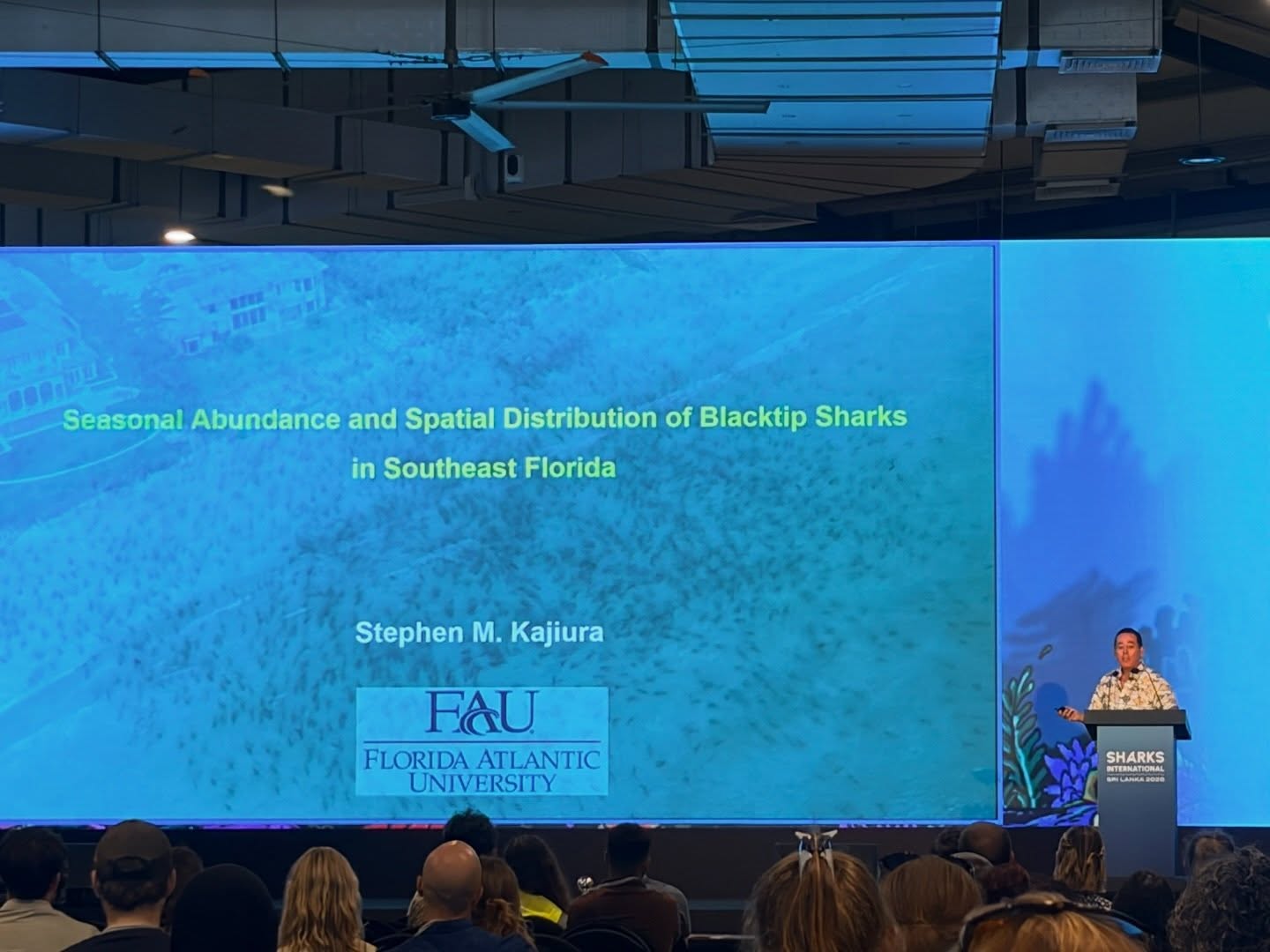 Presented the #blacktip #sharkmigration #research at @sharks.international. We found that winter water temperature rose 1.2C in a 10 year period- a big change in a short time. As a result the #sharks no longer migrate as far south because their preferred water temperature is found farther north. Portends big changes in the future as global temperature continues to rise. #marinebiology @fauscience @colganfoundation
