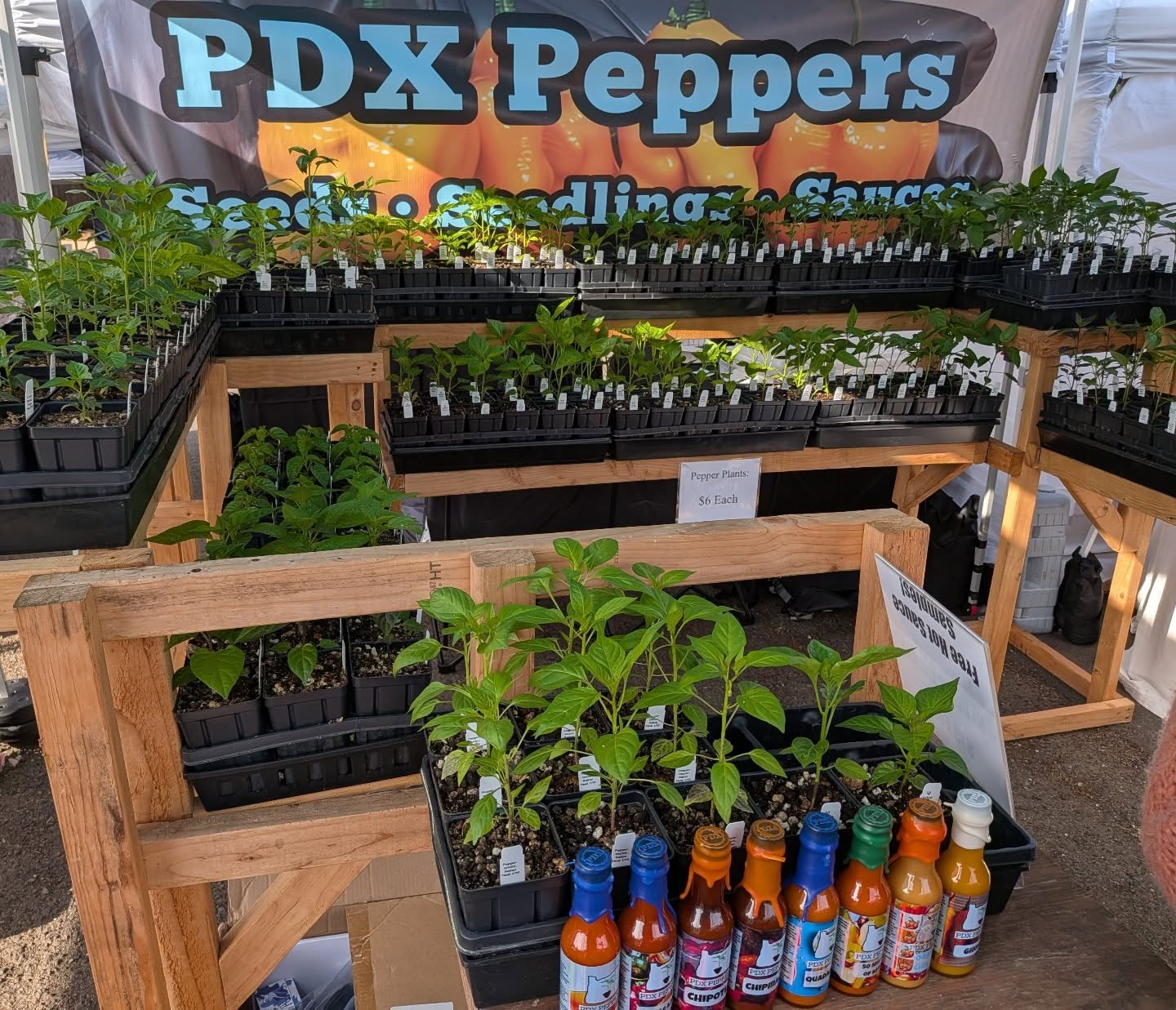 Come swoop hot sauces and pepper seedlings at the @stjohnsfarmersmarket today until 2pm! We expect to sell out of seedlings quick so get here early! Some of our sauce inventory is real low as well and won't restock until the fall 😳
•
•
•
#PDXPeppers #ThePepperNursery #StJohnsFarmersMarket