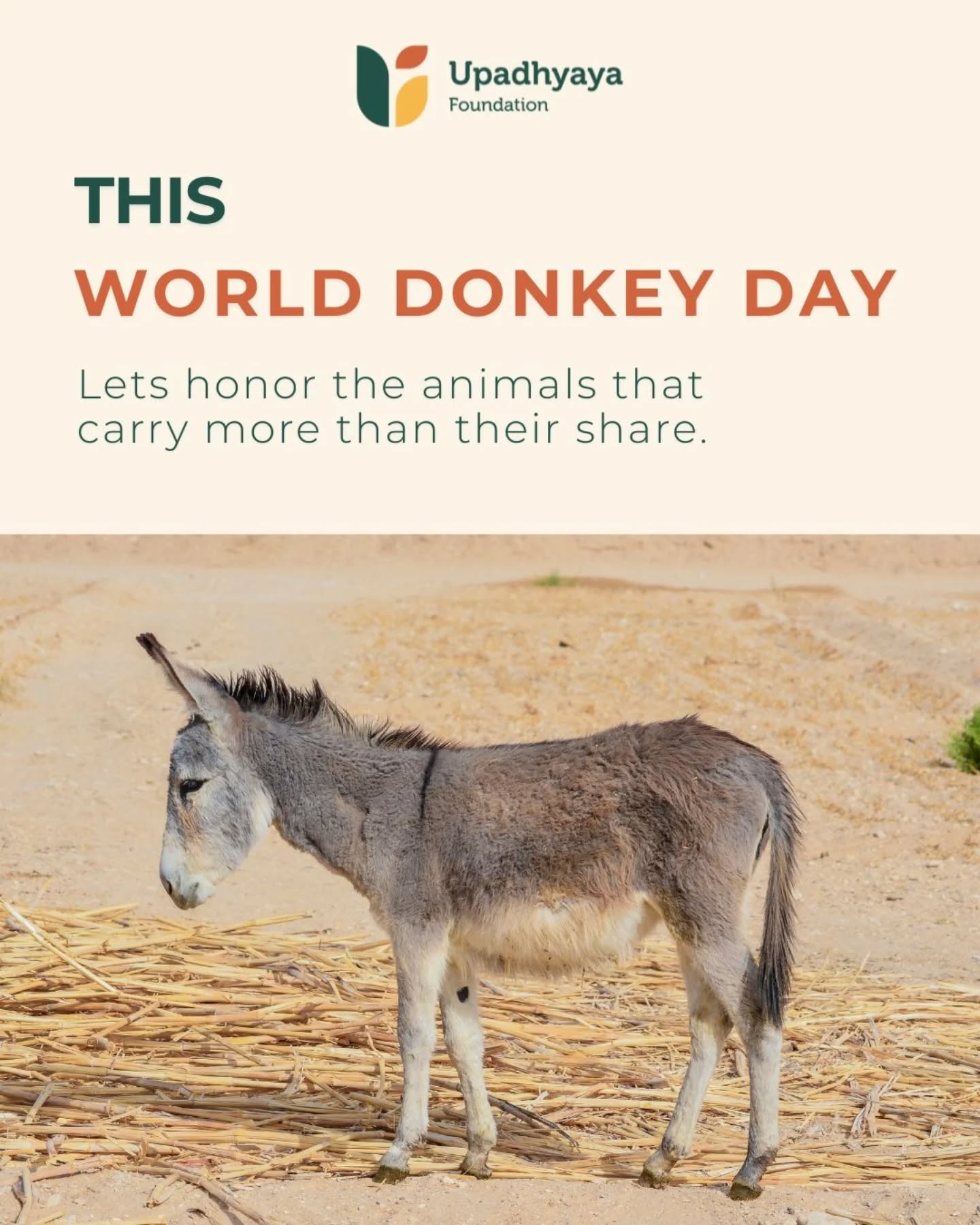 "This World Donkey Day, let’s talk about the animals that quietly support human lives every single day.
Across construction sites, mountainous terrains, villages, and pilgrimage routes, donkeys continue to carry heavy loads under extremely harsh conditions. Many are overworked, overloaded, denied timely veterinary care, and abandoned when injured or no longer “useful.”
Beyond labor exploitation, donkeys are also victims of illegal skin and meat trade networks that continue to threaten their welfare across several regions.
What makes this even more heartbreaking is how invisible their suffering often remains.
But there is hope.
Organizations such as PFA PPF, Friendicoes, Animal Rahat, Kalote Animal Trust, Humane World for Animals, and PETA India are working tirelessly to reduce animal cruelty, rescue injured animals, spread awareness, and advocate for better treatment of working animals.
As a society, we need stronger awareness, humane working practices, accessible veterinary care, and stricter action against cruelty and illegal trade.
Hardworking should never mean disposable.
This World Donkey Day, let’s choose compassion, dignity, and responsibility toward the animals that carry more than their share.
#WorldDonkeyDay #AnimalWelfare #UpadhyayaFoundation #WorkingAnimals #AnimalRights"