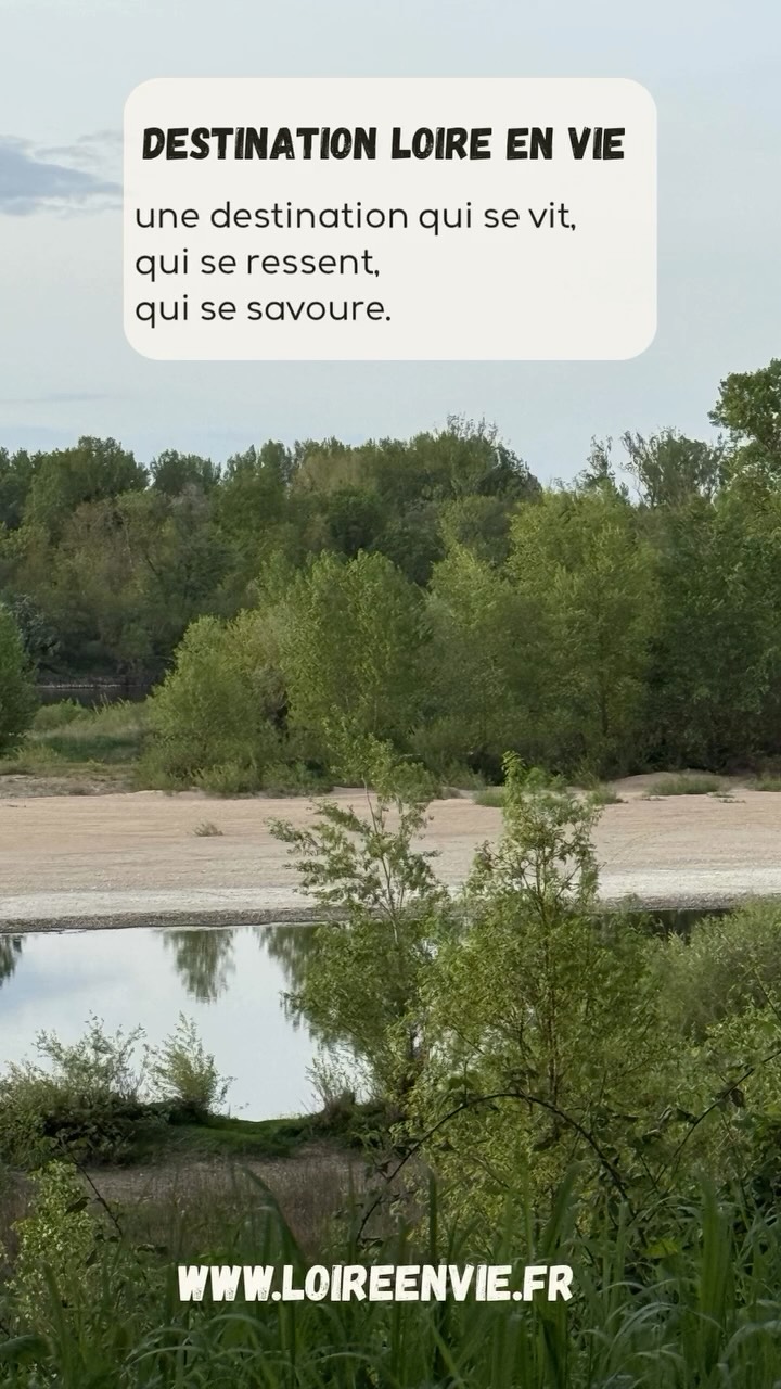 Destination Loire en Vie.
Entre Roanne et Gien, la Loire se dévoile sauvage, libre, authentique.
Ici, on découvre le fleuve autrement, à pied ou à vélo, au rythme de l’itinérance douce.
Des paysages qui respirent, des territoires sincères, une nature qui apaise.
Et si votre prochaine échappée commençait ici ?
👉 www.loireenvie.fr