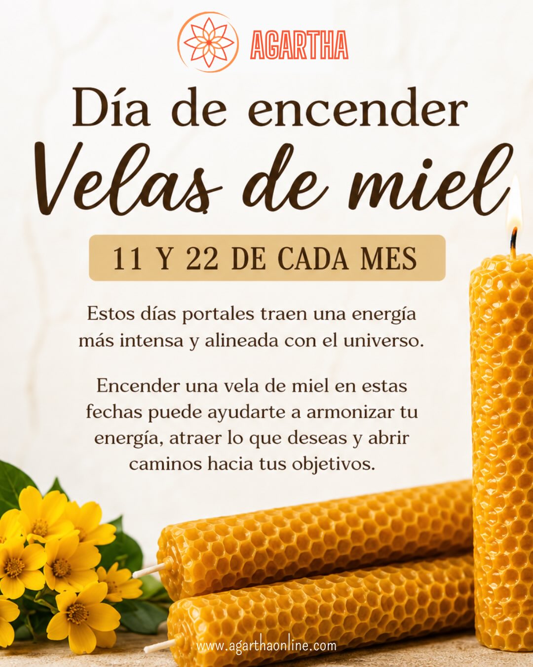 🕯️✨ ¿Sabías que los días 11 y 22 de cada mes no son días comunes?🕯️✨
Numerológicamente, son números maestros que actúan como portales para elevar nuestra vibración.
🍯 Encender una vela de miel en estas fechas es el ritual perfecto para atraer dulzura, abundancia, armonía y prosperidad a tu vida.
🌟 Ritual rápido: Prende tu vela con fósforos, visualiza tu intención y deja que se consuma para endulzar tus proyectos.
Disponible en tienda física y tienda online www.agarthaonline.com ✨
#velasdemiel #ritual1122 #numerosmaestros #abundancia #agartha