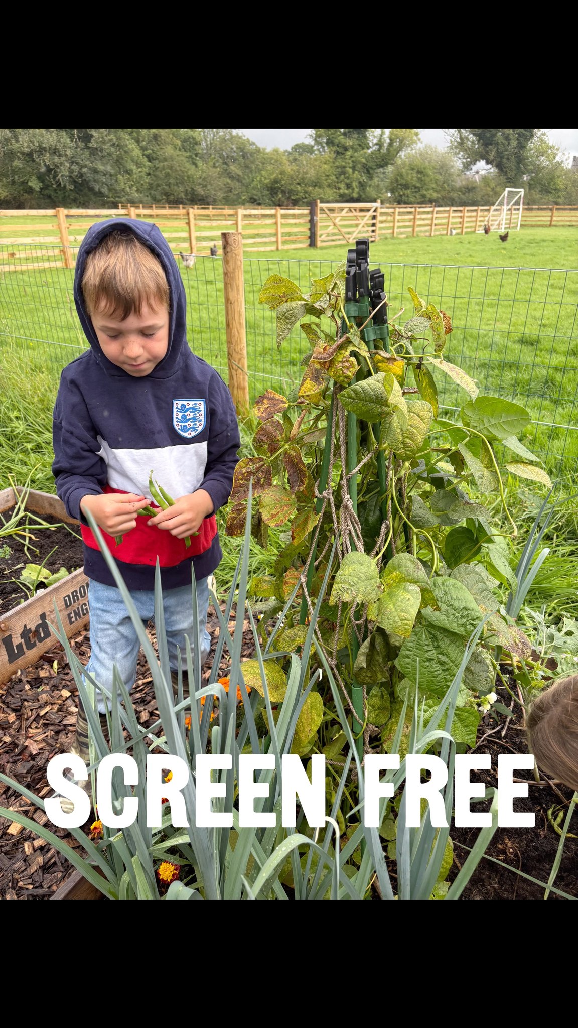 Childhood doesn’t need to be complicated. Sometimes it’s soil on their hands, animals to care for, fresh air, and a little bit of wonder
Little Farmer sessions are now open to book — perfect for children who love animals, mud, nature and doing real farm jobs.
#kidsactivity #lakedistrictuk #daysoutwithkids #visitlakedistrict #southcumbria
