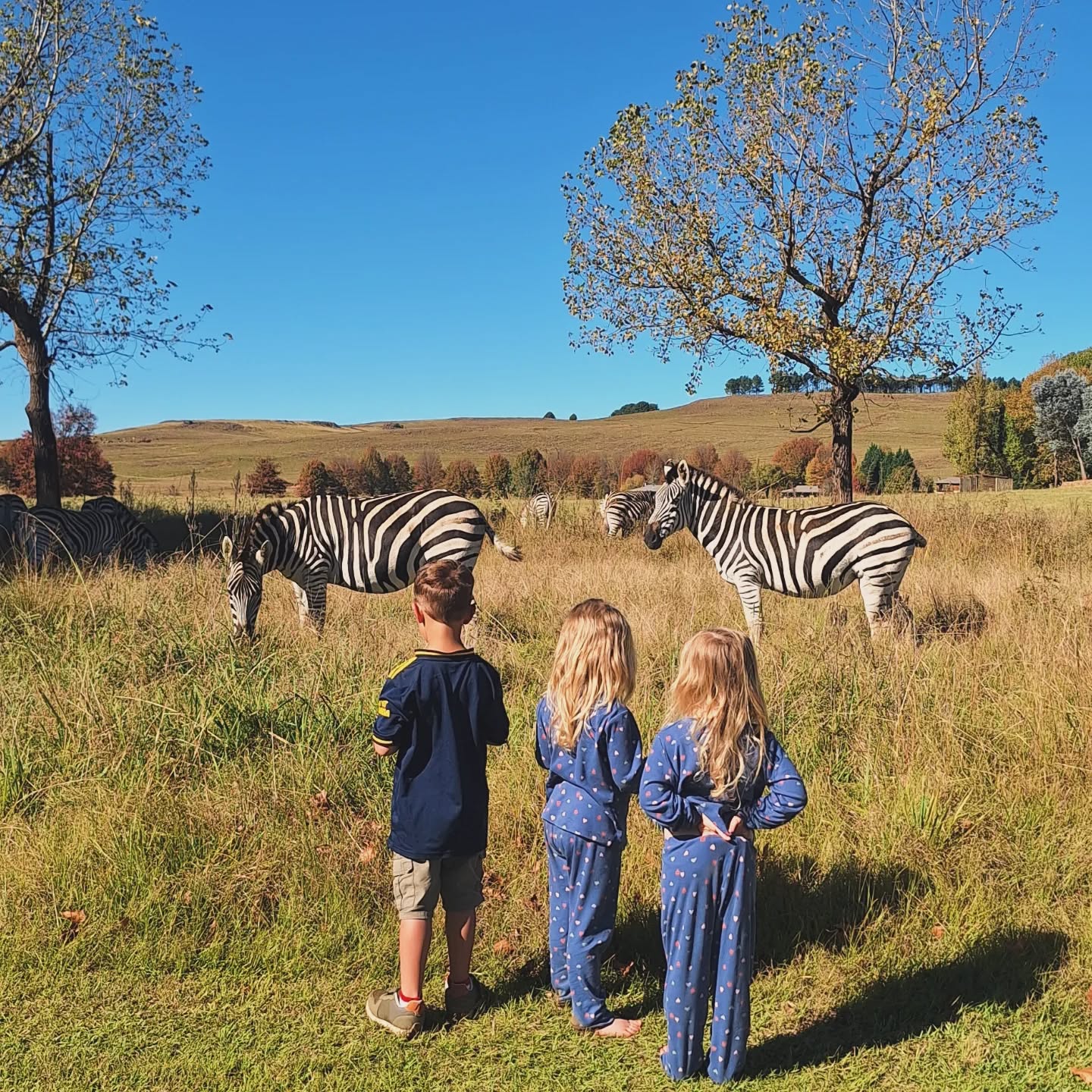 Het weekend zat vol bijzondere momenten 💛
Het bruidspaar en hun tweeling straalde en was omringd door liefde van alle kanten.
Alsof het niet specialer kon, werden de gasten verwelkomd door zebra’s en hartebeesten – een magisch begin van een onvergetelijk weekend.
@sanivalleylodge
@yarpete