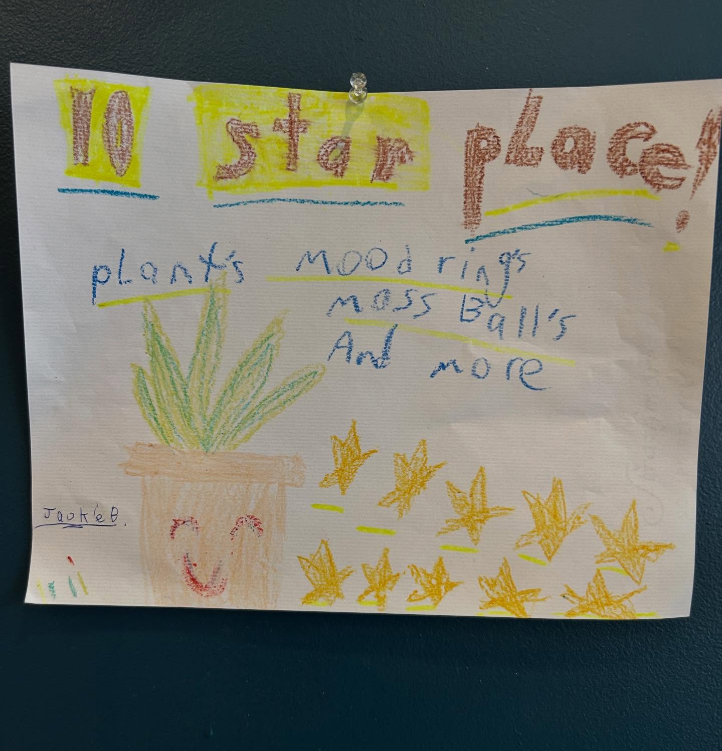 We got the MOST amazing award today- did you even know they gave these out!? 10 stars!? We’re pretty lucky that the folks who come in here are the best in the world 🌈🌿💕