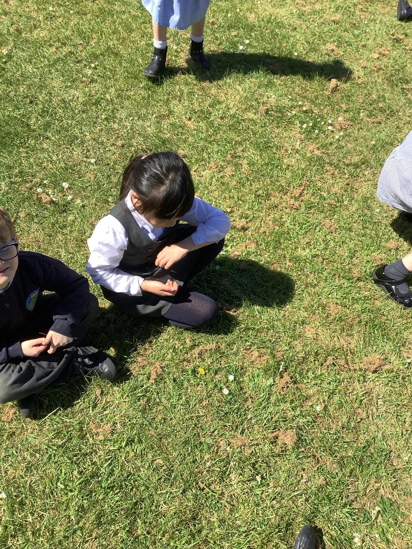 Badger class went on a wild flower hunt in Science this afternoon 🌟🌱
#mwcpscience