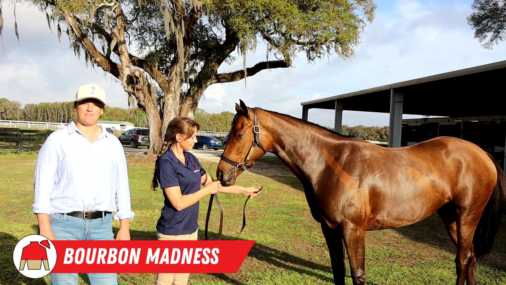 Our last check-in with Bourbon Madness before she shipped to Mark Hennig’s barn at Belmont. 🥃🐎
By Epicenter, Bourbon Madness was purchased for $90,000 at Keeneland September, and she’s been a filly we’ve thought highly of since day one.
We’re very excited to see what the future holds for her on the racetrack and grateful to the team at Hidden Brook for giving her such a strong foundation.
Interested in joining our 2026 partnerships? Contact mary@mcmahonandhill.com for more information!