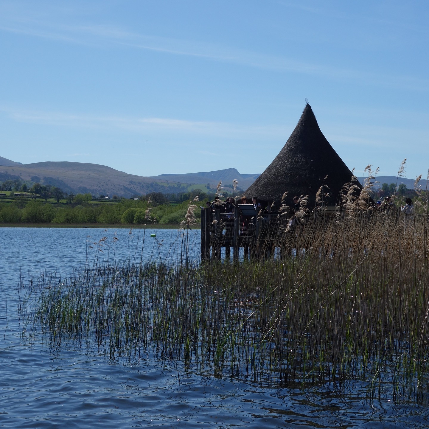 Llangorse Lake, the largest natural glacial lake in South Wales, is home to the Crannog. A mate and I popped over there and had a good old time on the shore and in the Crannog. The Crannog is the only artificial, man-made island residence discovered in Wales, dating to the late 9th or early 10th century (c. AD 889–893). It served as a high-status, probably royal, residence for the Kings of Brycheiniog before its violent destruction in 916 AD, likely linked to the Viking-age wars. If you're in the area, check it out. The area is also home to a plethora of wildlife. The deck is ideal for observing this famed body of water, which is, in fact, a Wye tributary by way of the Llynfi that flows through the lake. #Llangorse #Langorselake #llangorsecrannog #crannog #breconbeacons #Brycheiniog