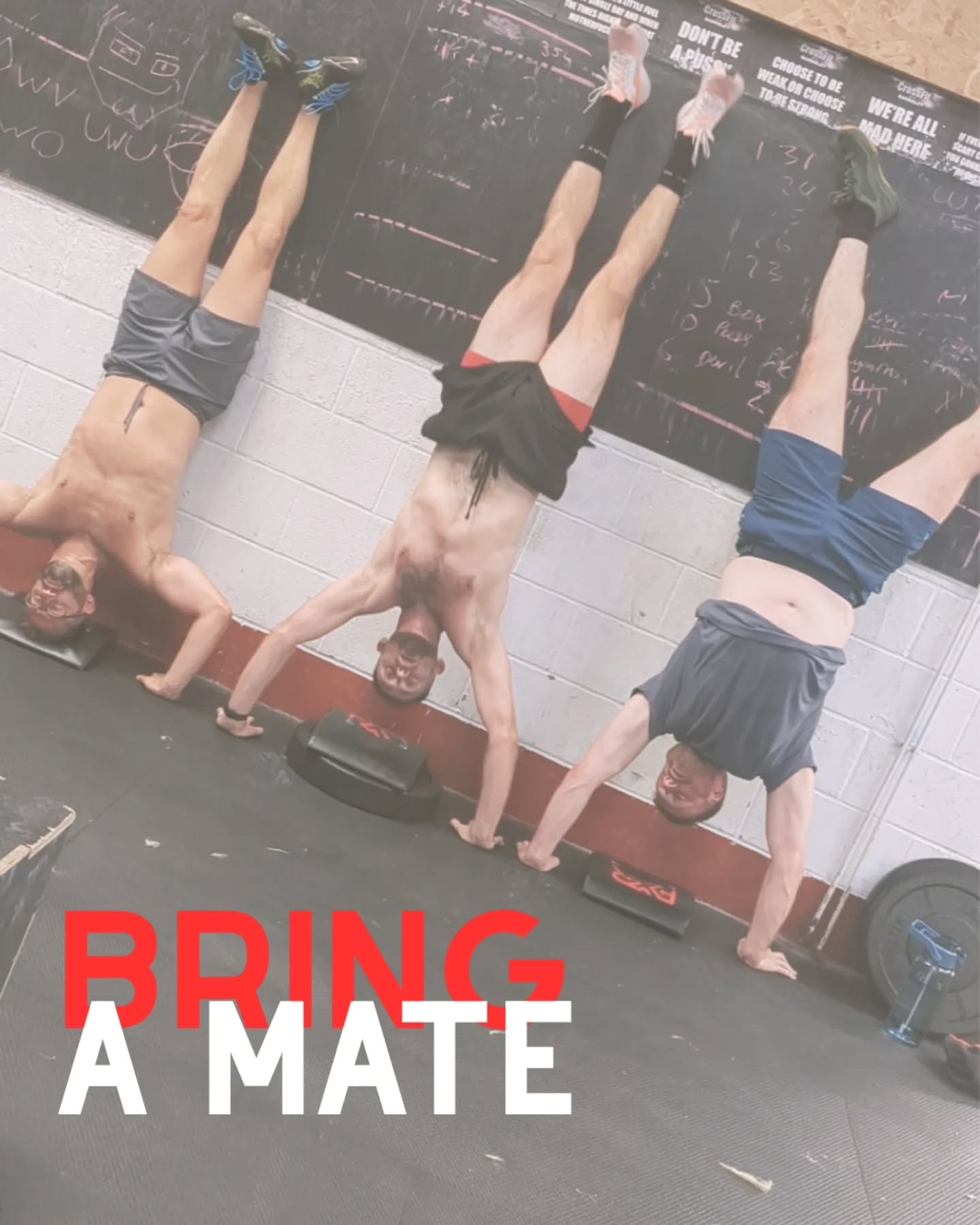 Bring a Mate
What better way to kick start May and the weekend than working out with your favourite human πͺπ½
From tomorrow if your one of our awesome members you get to bring your pals along for the ride for a full month of sending it π₯³
The weekend starts tomorrow.
Let's go π
#crossfitbarnsley #bringamate #may #bff #sendit