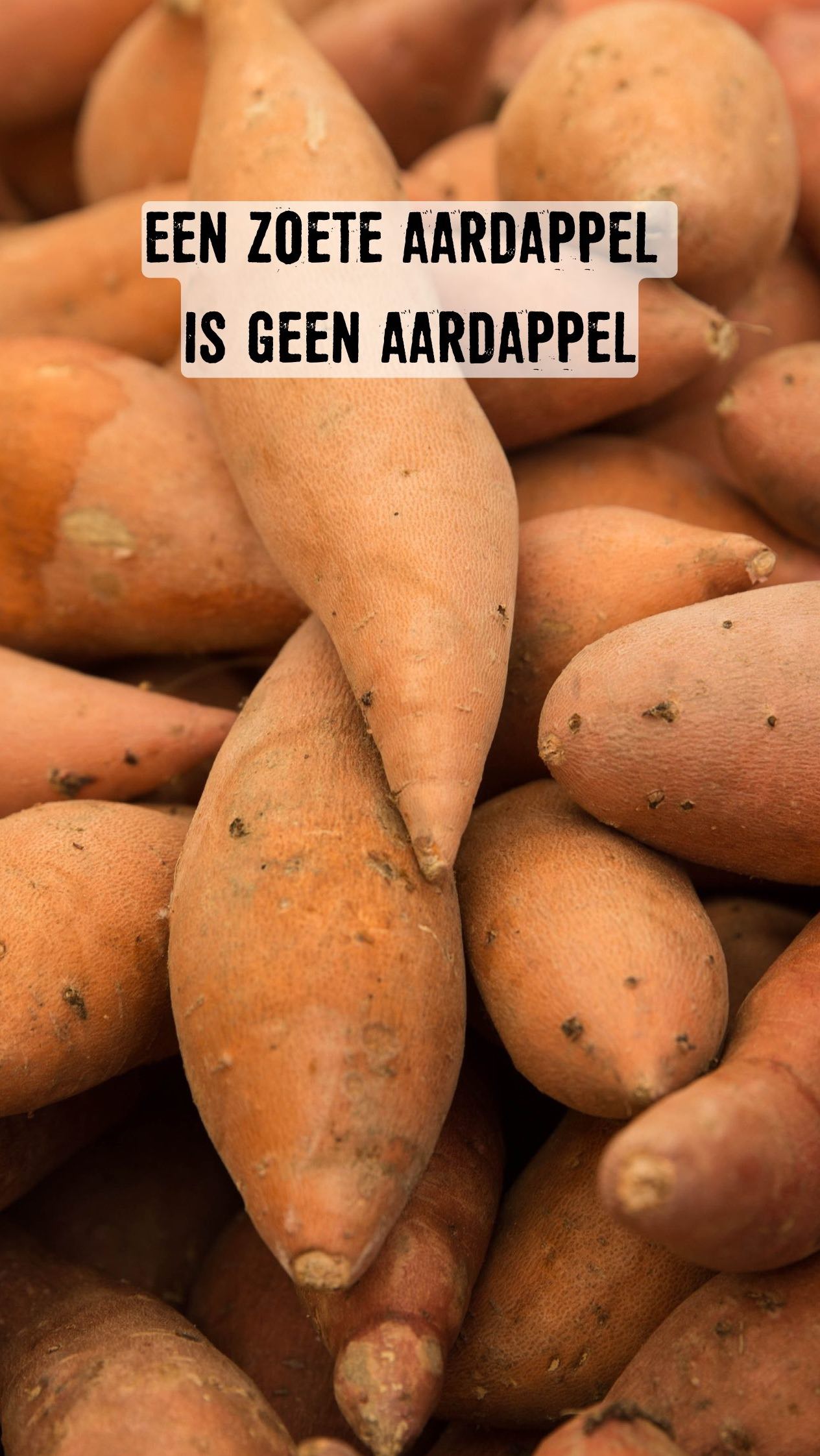 Een zoete aardappel is dus… geen aardappel 😳🍠
Zelfde naam, totaal andere plant.
#crunchi #food #zoeteaardappel #feitjes #wistjedat #vega #aardappel