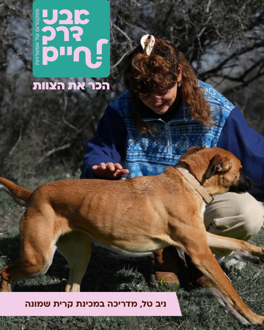 ניב המקסימה 🩷 דפדפו כדי לקרוא 👈🏻 #אבנידרךלחיים
