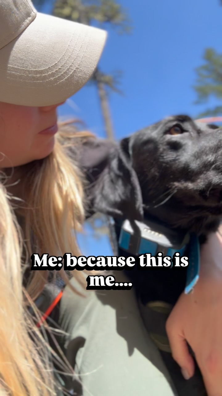 I'm just out here reminding your dogs how special they are because you are at work & they need to be told 🤪
My favourite past time.
#biscuitspetcare#dogwalker#dogwalking#dogsofinstagram#hikingwithdogs