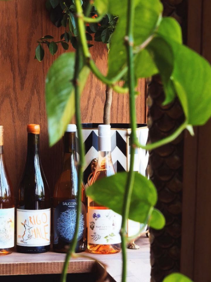 Let us introduce you to some delicious new wines!
Featured here are three orange wines and one rosé.
.
The stand out for us is the Salicornio Moscatel orange wine. It's produced biodynamically and is genuinely one of the most fragrant wines we've ever enjoyed. Bursting with orange blossoms, peaches, citrus and honey. It tastes as good as it smells. 🍊🍑🍯
We enjoyed it at a wine sampling recently and we went back for a 2nd taste of this one... Y'know, just to be sure 😉
.
Come to Hive Stores to enjoy something different.
.
Thursdays 9am-9pm
Fridays 9am-10pm
Saturdays 9am-10pm
Sundays 9am-8pm
#naturalwine #winebar #orangewine #altrincham #winereview