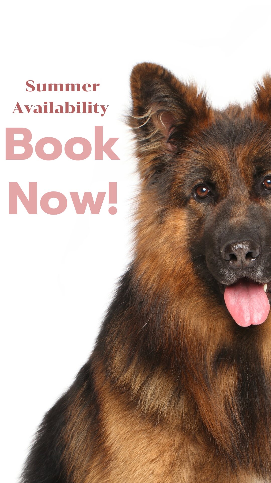 Looking to see us this summer? Appointments are going fast so book now to reserve your place! 🐾