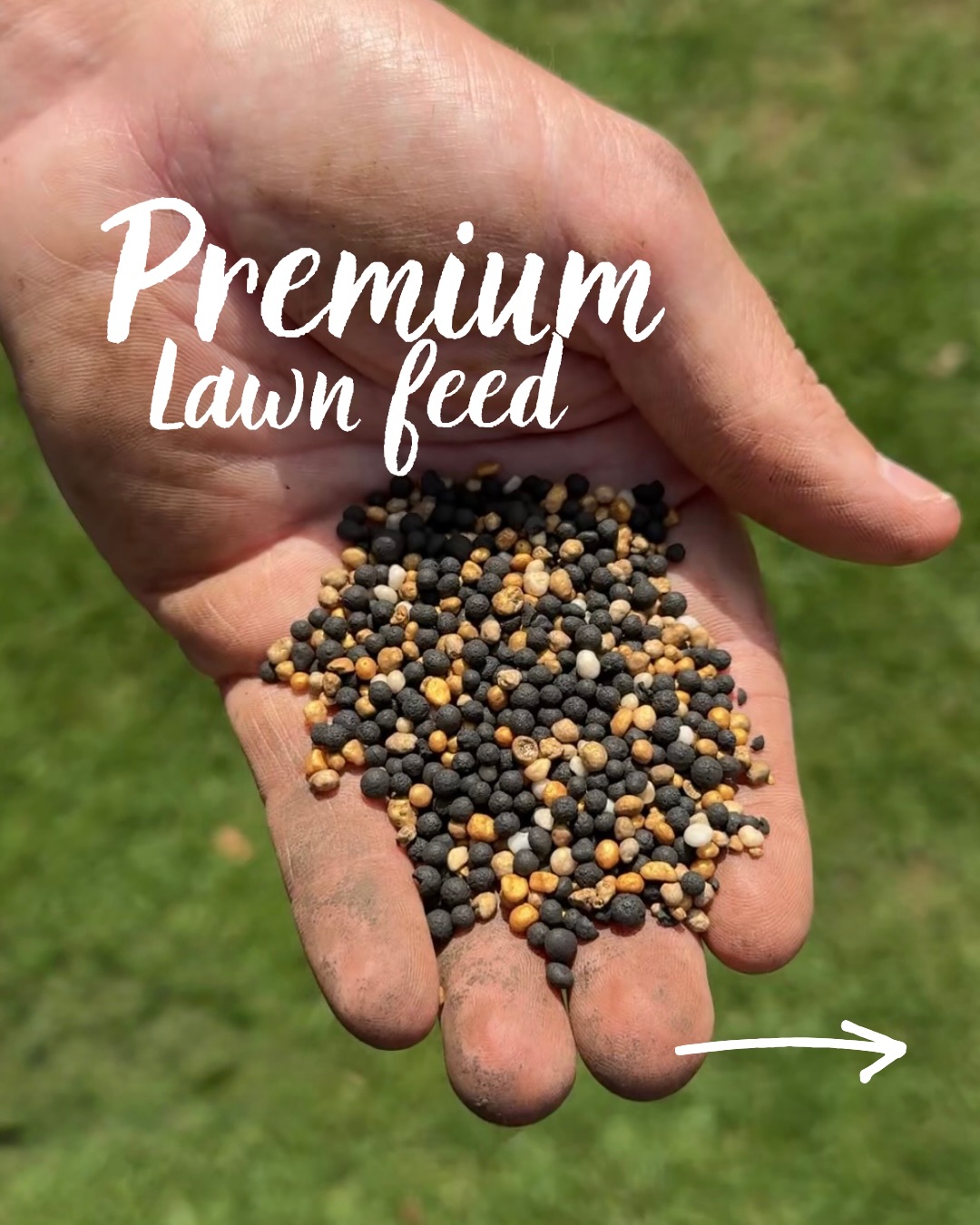 Meet Grass Gains Premium Lawn Feed – Gold Edition, our 6-month controlled release fertiliser designed for long-lasting results.
One application = up to 6 months of steady feeding.
- Slow-release technology feeds your lawn in line with its natural growth cycle
- Encourages thicker, stronger grass and deep root development
- Helps your lawn cope with drought, wear and seasonal stress
- Pet & child safe when used as directed
- Easy to apply with a spreader or by hand.
Lawn care | lawn | gardening | garden | green grass