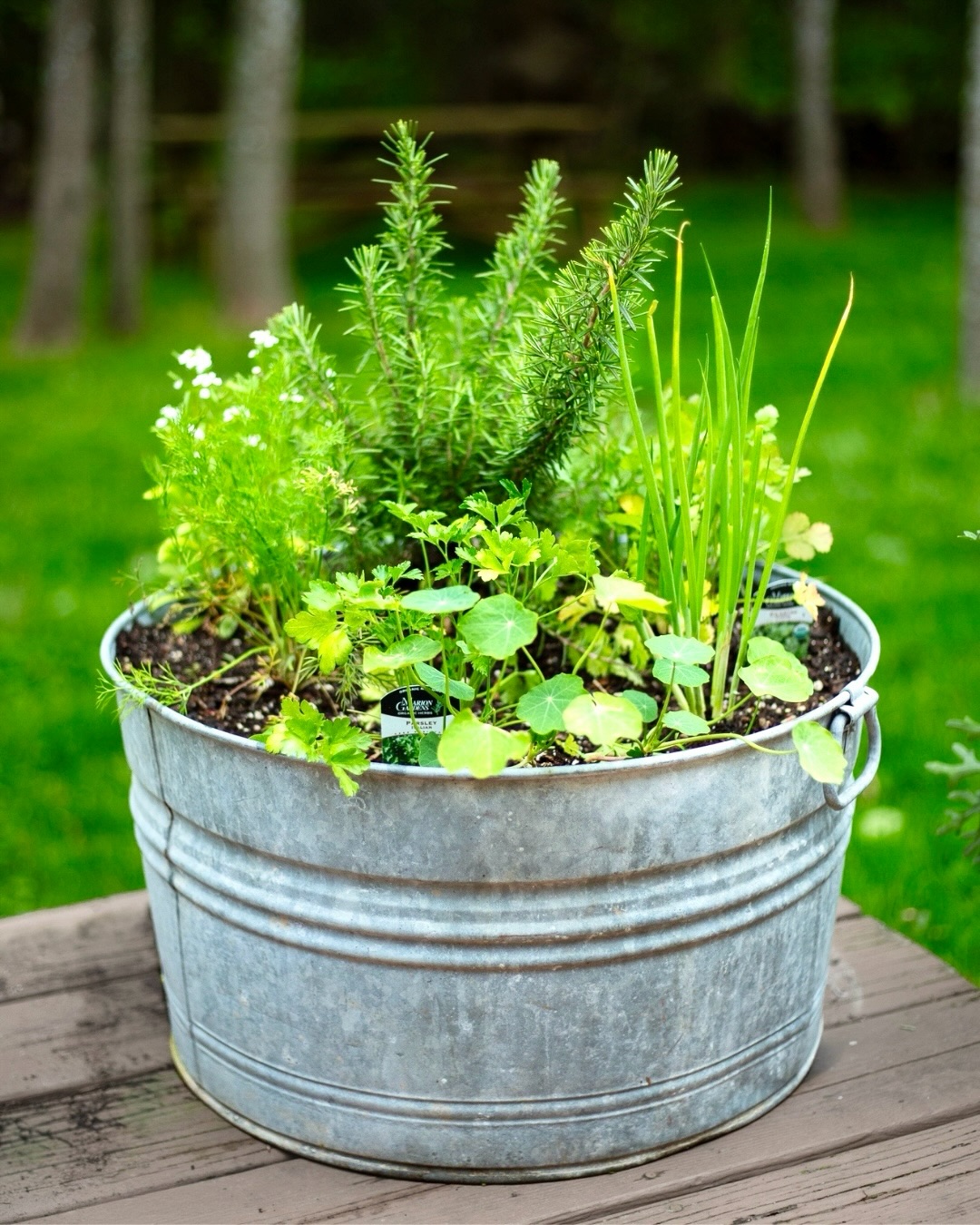 🪴 Spring Herb Planters are back & easier than ever to order! We have 3 sizes, and you can select your herbs at checkout. (The larger sizes come with two bonus flowers chosen by me 😉)
🌱 Visit yardcropnofo.com or use the 🔗 Link in Bio to order for pick-up or local delivery!
#herb #garden #northfork #gardening #plants
