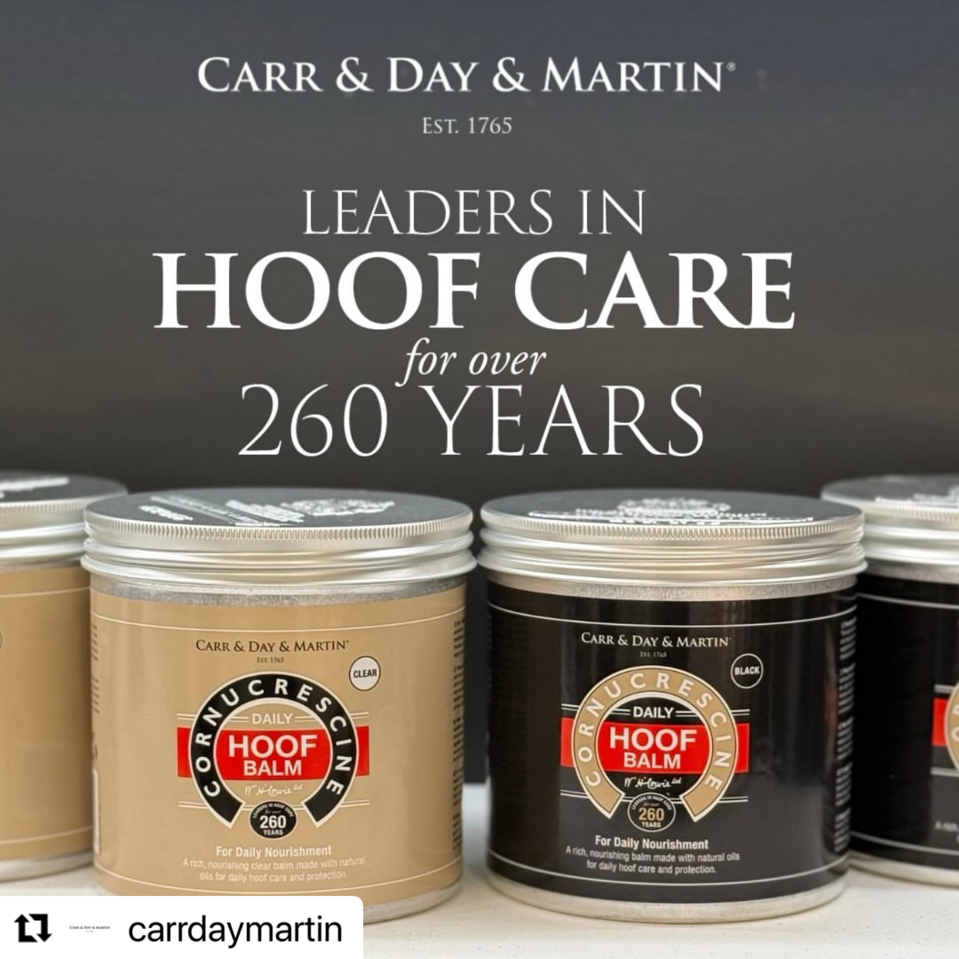 Jetzt NEU im bewährten Cornucrescine Hufpflege Sortiment von @carrdaymartin:
Cornucrescine Daily Hoof Balm – Black 🖤 & Clear 🤍
Pflegt reichhaltig, bildet einen atmungsaktiven Schutzfilm und verleiht langanhaltenden Glanz ✨
#YouCareWeCare