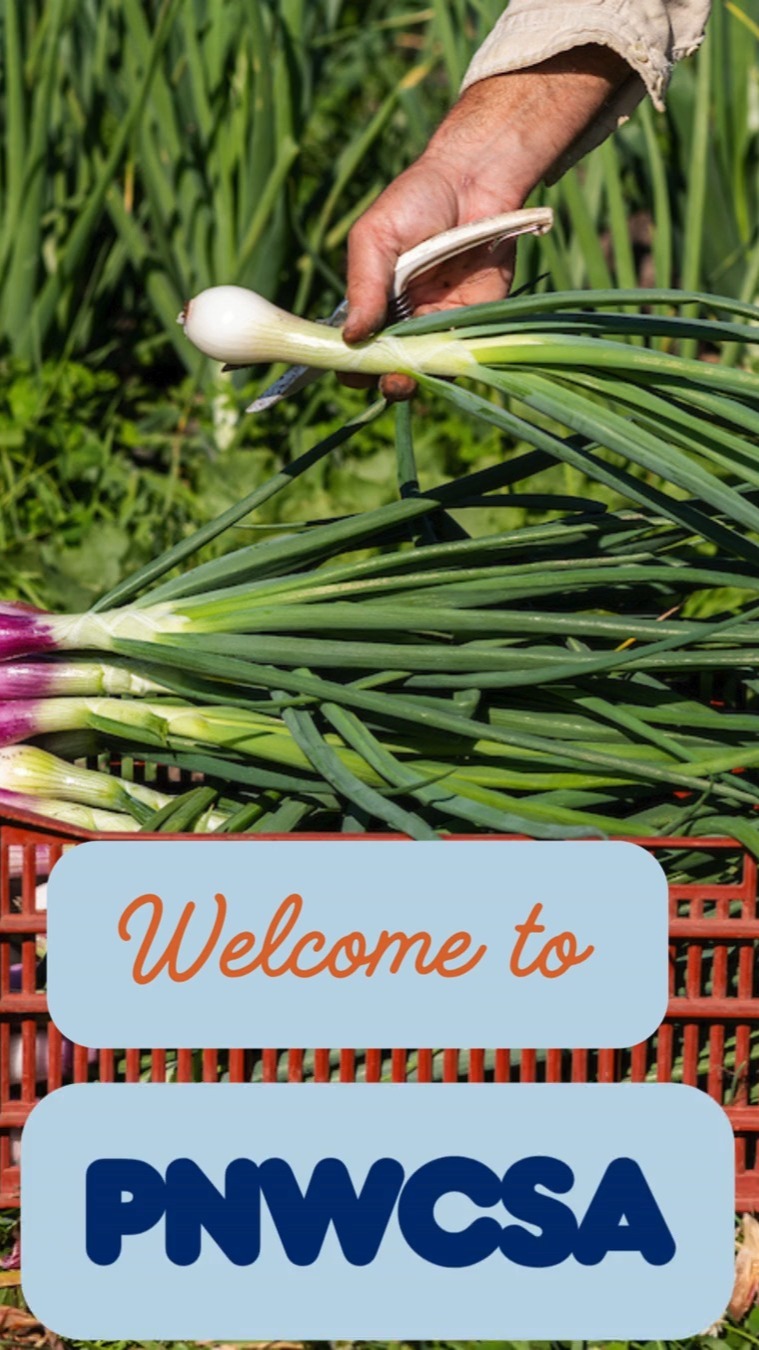 We had 20 new farms join our coalition this year! Please join us in welcoming new farms serving the Portland metro area to the PNWCSA Coalition 🌿
@daytrip.fc
@full_of_life_farm
@hearth.and.hollow
@ginnyacresfarm
@thegroundmarket.love
@jensenminifarm
@moramorafarm
@nightowlgardenfarm
Perennial Hill
@walkingwhaleflowerfarm
We’re excited to have these farms and producers as part of the coalition and look forward to supporting their work this season.
#PNWCSA #CSA #SupportLocalFarms #PortlandMetro #LocalFood #CommunitySupportedAgriculture #PacificNorthwest