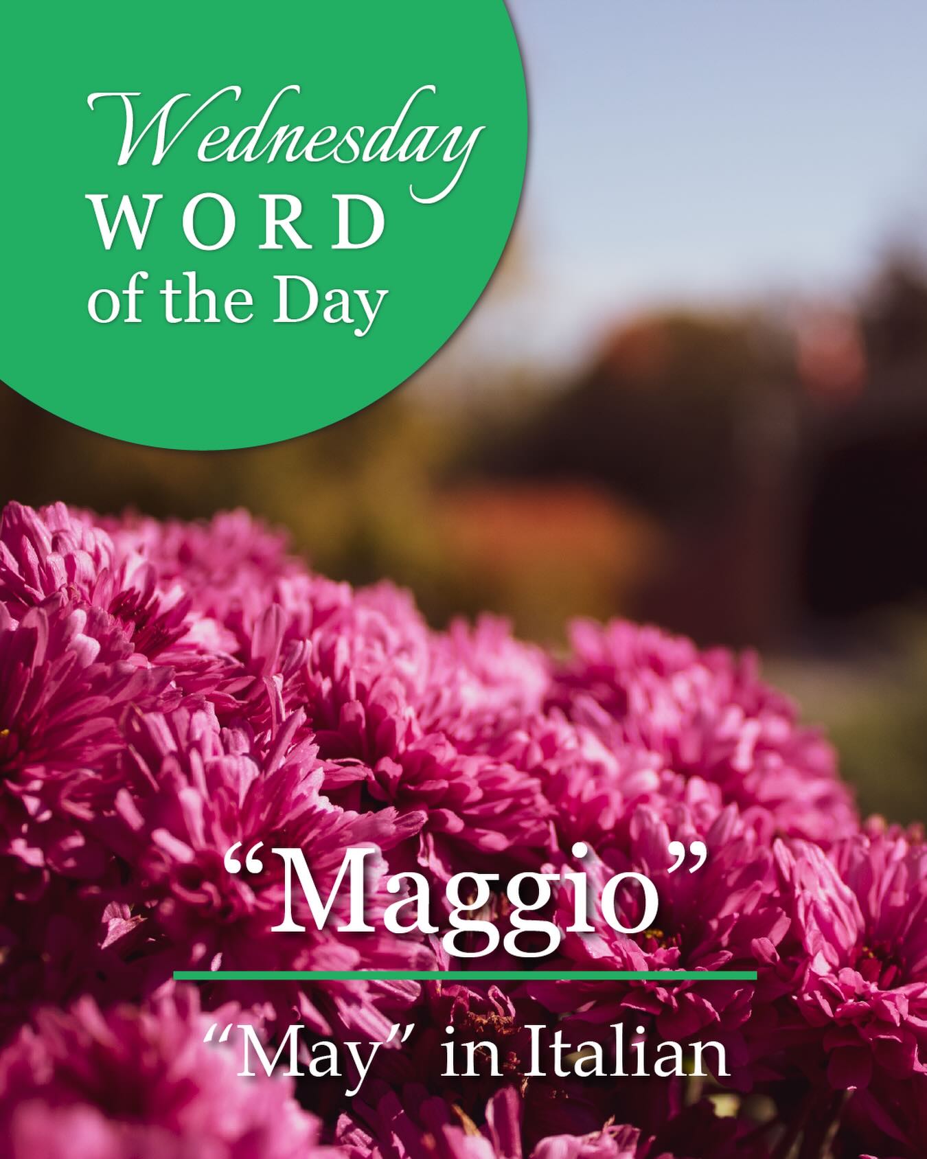 Wednesday Word of the Day: Maggio
Translation: May
A month of rain, shine, celebrations, and new beginnings.
#WednesdayWord #ItalianWordOfTheDay #Maggio #HelloMay #SpringEnergy