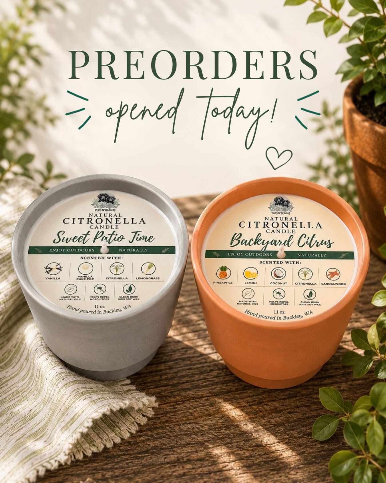Our Citronella Collection is officially available for preorder on the website
☀️Sweet Patio Time:
Sugared citrus • soft greens • warm summer air
Warm vanilla cake and bright citrus melt into a smooth, inviting blend, lifted by delicate green tea and lemongrass. Finished with a subtle touch of citronella, this scent is made for slow, cozy nights spent unwinding outdoors.
🍋Backyard Citrus:
Juicy citrus • tropical fruit • sun-filled moments
Bright pineapple and fresh lemon create an uplifting, juicy blend, softened with a touch of citronella for effortless outdoor enjoyment. Finished with a creamy sandalwood + coconut base, this scent captures the energy of sunny afternoons, backyard gatherings, and easy summer fun.
These have been moving quickly off the shelves locally, and I already have another supply order on the way — meaning preorder turnaround is currently shorter than it may be later in the season 👀
Why preorder?
With baby T expected in the next month, I’m trying to intentionally manage how much I’m ordering, pouring, and storing while stepping into first-time motherhood after years of waiting for this chapter 🩵 Preordering helps me keep inventory intentional instead of sitting on excessive backstock during maternity leave.
It also means your candle is freshly poured for YOU — not sitting lidless on a shelf for weeks potentially losing fragrance strength before first burn.
If you’ve been wanting one, I truly wouldn’t wait too long. Once the next round of supplies is spoken for, restocks may move slower through summer 🌿
• Reusable 11 oz terracotta pots
• Clean-burning 100% soy wax
• Hand-poured in Buckley, WA
• Made with natural oils
• Free porch pickup available
• Shipping + local delivery available for a fee
Shop now at pupsnblooms.com (link in profile) 🫶🏼
