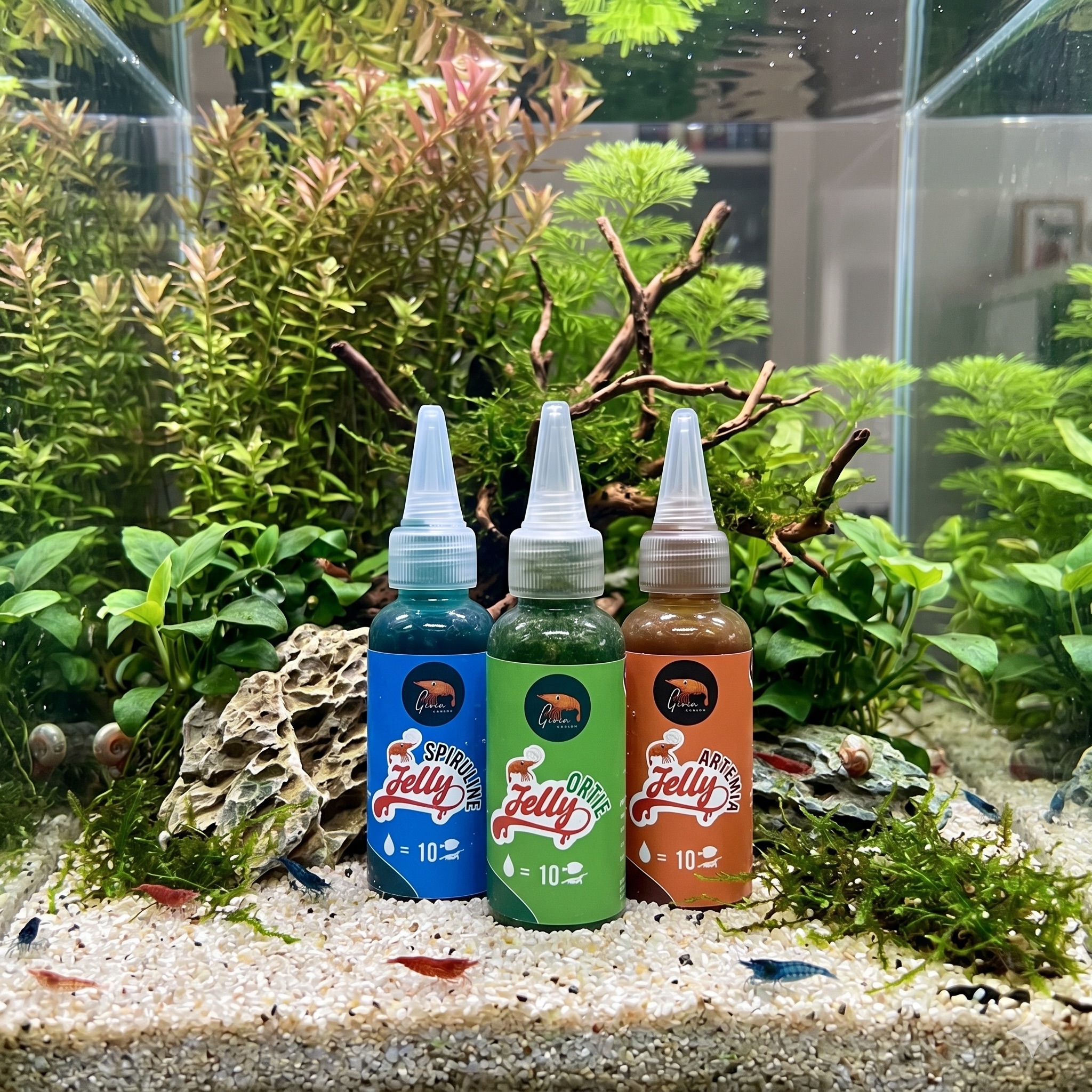 Voici les GioiaJelly ! Un de nos produit phare, totalement unique. 🌿
Une gelée aux différents gouts possible (spiruline, ortie, artémia…) pour donner des couleurs éclatante à vos crevettes !
Plutôt original non ? Laissez-vous tenter pour le bien être de vos crevettes 🦐
Disponible dans vos magasins Animalis et Botanic !
