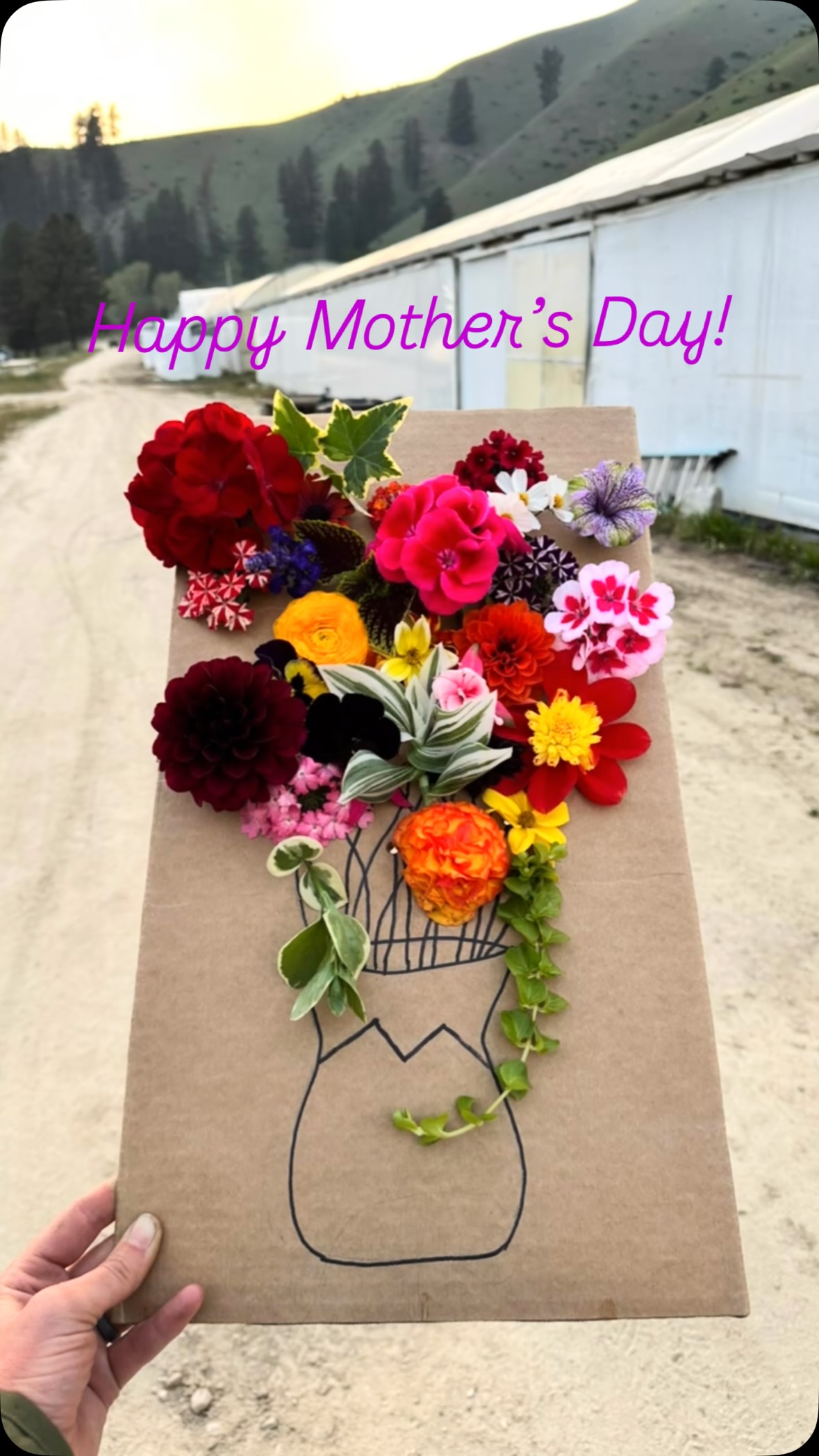 Happy Mother’s Day from all of us at Ward’s!