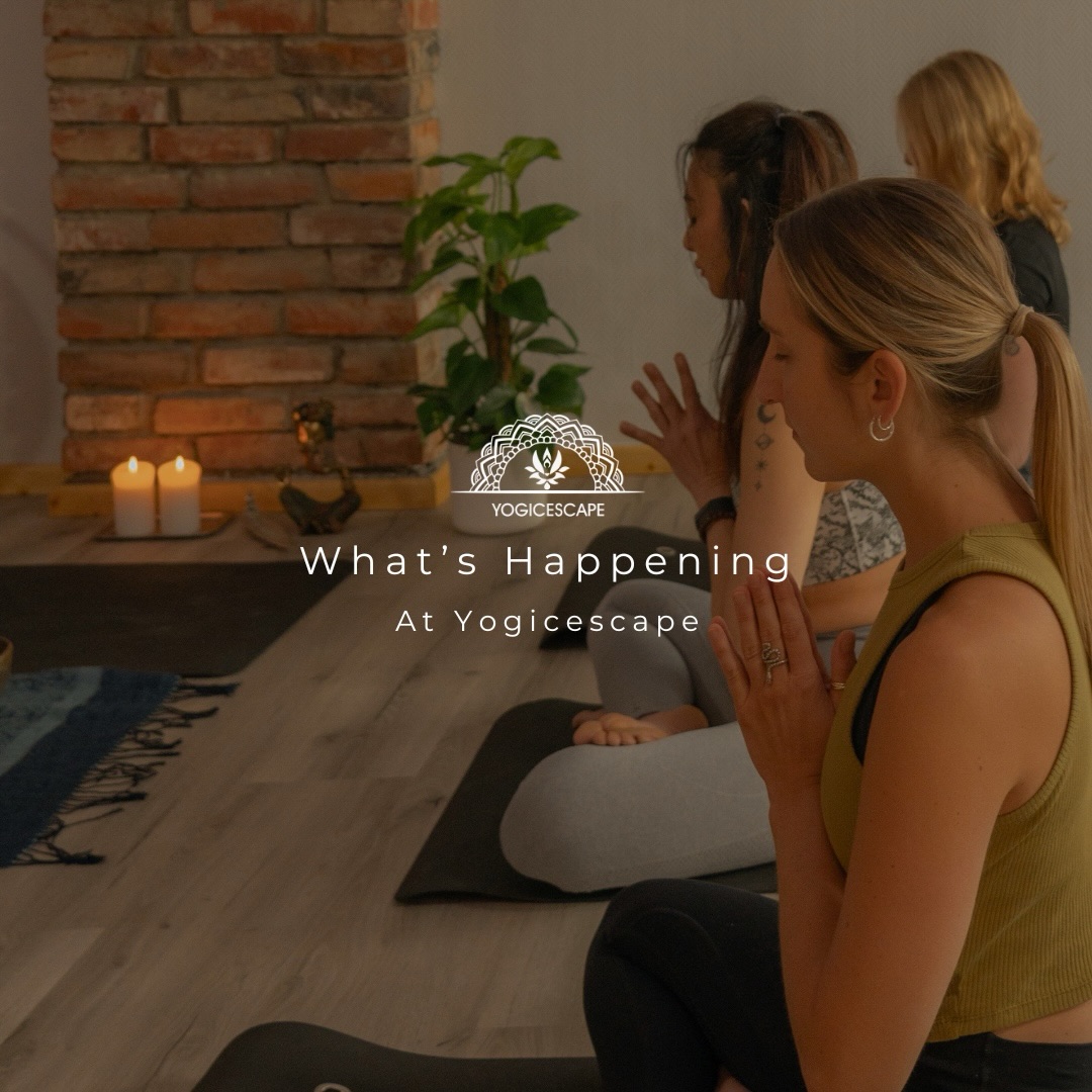 2026 is already unfolding so beautifully at Yogicescape 🤍
From sound and breath, to movement, mantra, ceremony, healing, and deep inner work — every offering this year has been created with so much intention, love, and community.
Here’s everything we’re sharing with you so far ✨
• (starting) 8th May–6th June 2026 (ending) — Abhyasa 55H Multi-Style Teacher Training
With @nehayogicescape , @federicosoggiaa & @soundhealingberlin
Yogicescape Prenzlauer Berg
Certified by YACEP*
• 16th May 2026 — Shamanic Ceremony
With @noemakali_
Yogicescape Friedrichshain
Rapè & Blue Lotus Tea
• 16th May 2026 — Mantra Chanting Workshop (Online)
With @nehayogicescape
Online
Certified by YACEP*
• 17th May 2026 — Pranayama & Breathwork Teacher Training
With @nehayogicescape
Yogicescape Prenzlauer Berg
Certified by YACEP*
• 23rd–24th May 2026 — Asana Lab & Sequencing
With @federicosoggiaa
Yogicescape Prenzlauer Berg
Certified by YACEP*
• 30th May 2026 — Ayurveda Training (7H)
With @nehayogicescape
Yogicescape Prenzlauer Berg
Certified by YACEP*
• 31st May 2026 — Sonic Journey
With @soundhealingberlin , @federicosoggiaa , @cozmic.sound & @movewithdicle
Yogicescape Friedrichshain
• 14th–16th Aug 2026 — Reconnect Summer Retreat
With @nehayogicescape @soundhealingberlin
1.5 hrs from Berlin
Thank you for growing with us, learning with us, and making this space what it is.
We truly can’t wait to share these moments together 🌿 Link In Bio 🙏
#soundhealing #pranayamatraining #shamanicceremony #asanalab #mantrachating y