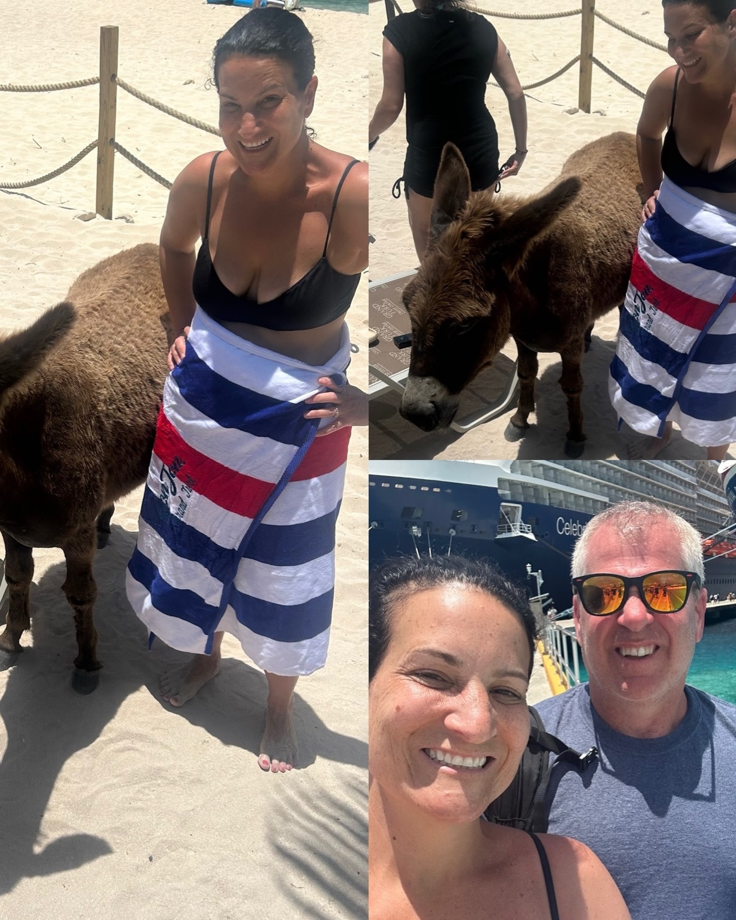 In Turks in Caicos with a very pregnant donkey just roaming the beach!