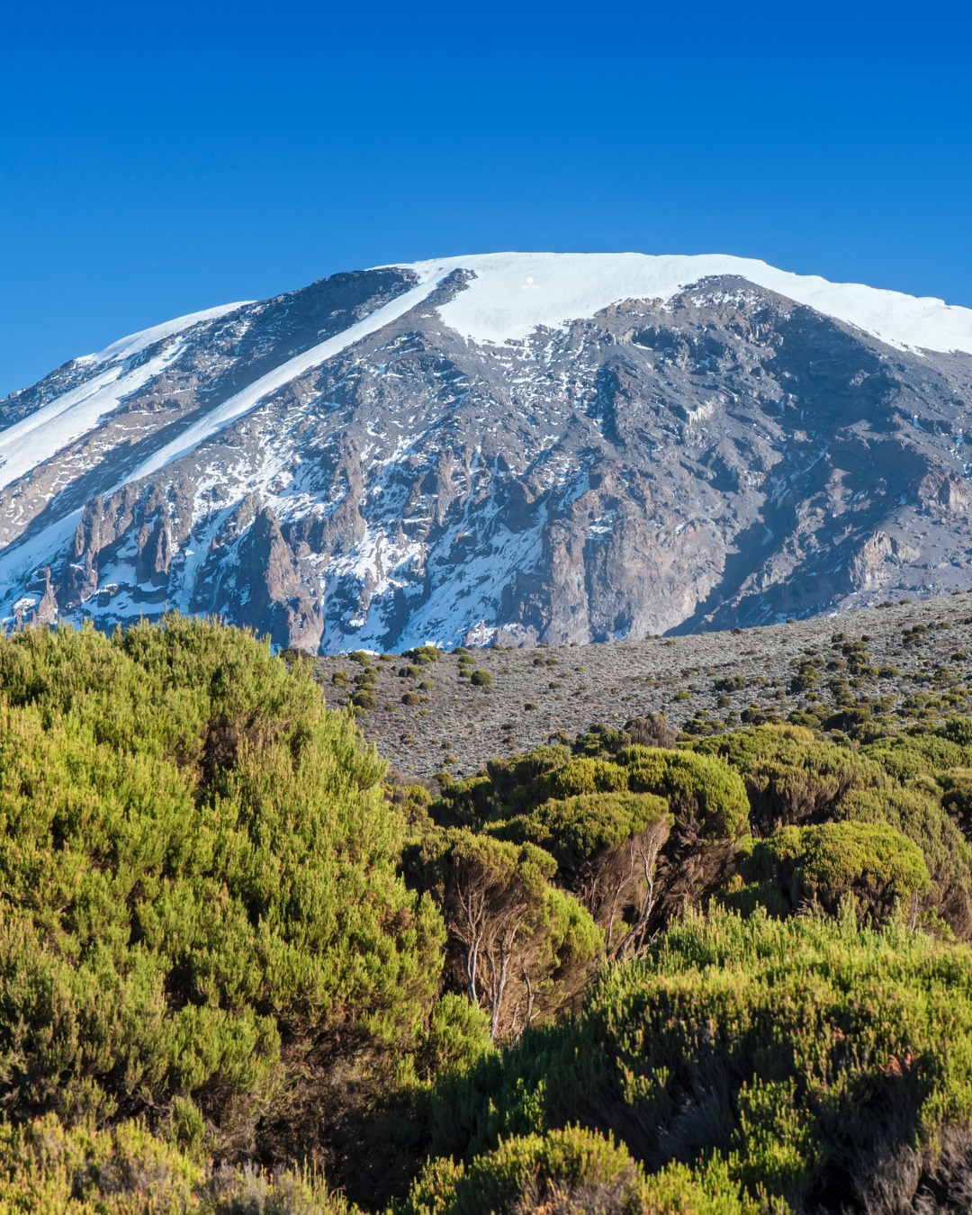 ⛰️ 1 MONTH TO GO ⛰️
In just one month, the team will be starting their trek up Mount Kilimanjaro!
This is a huge challenge to raise money for an important cause close to our industry’s heart.
If you’re able to donate, even a small amount makes a real difference and would mean the world to us. ❤️
Please help us reach our target and make this climb count. Link to donate is in our bio! 🔗
Thank you so much for all the encouragement so far, let’s do this together! 💪
#Kilimanjaro #CharityChallenge #GreenfingersCharity #Fundraising