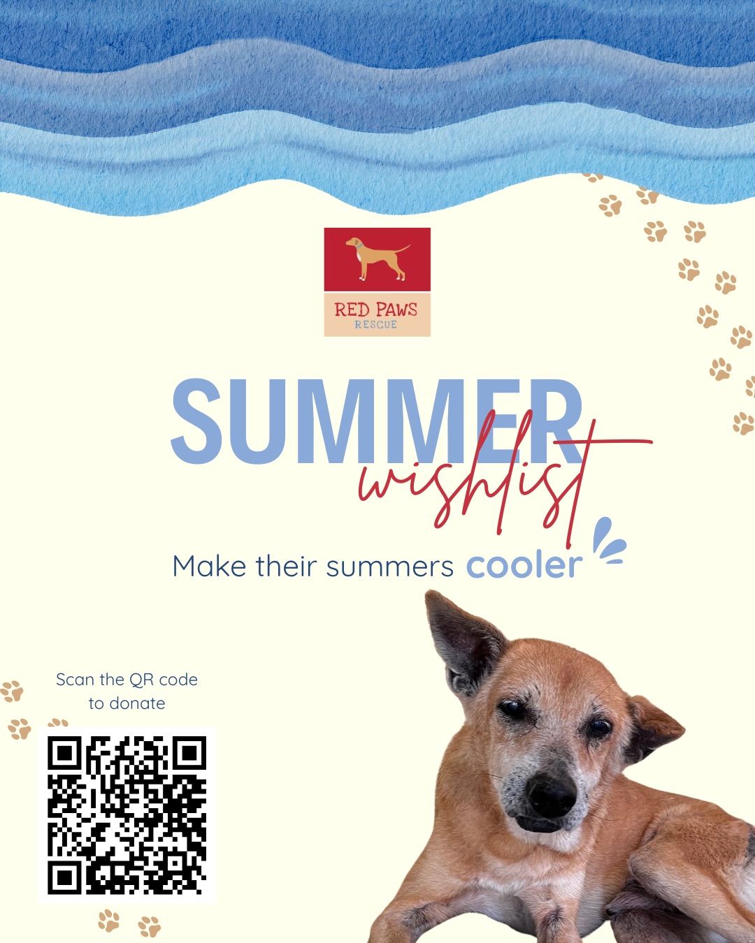 This summer is unforgiving, and our dogs feel it the most 🐾
With rising temperatures, our shelter babies are struggling to stay cool, comfortable, and cared for. We’re doing everything we can but we need your help.
We’re looking for sponsors to support essentials like food, cooling aids, and medical care through these harsh months. Even the smallest contribution can bring them relief and comfort.
If you can, please stand with us and help our dogs get through this summer with care and dignity. 🤍
Every bit of support makes a difference.
To support us you can scan the QR or visit our link in bio
.
.
.
#redpawsrescue #summerwishlist #heatwave