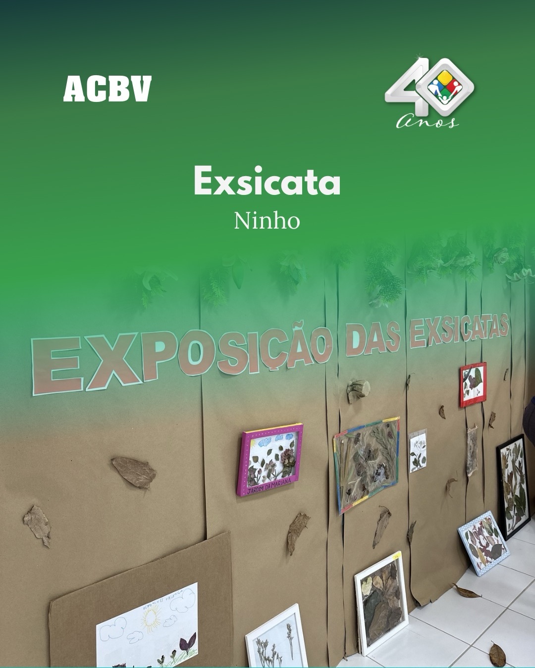 Os alunos do Jardim 2 tiveram uma experiência especial ao aprender sobre a exsicata, descobrindo como as plantas podem ser preservadas e estudadas com tanto cuidado. 🌿
Eles fizeram uma exposição e foi um momento de encantamento e aprendizado, reconhecendo a beleza presente em cada detalhe da natureza. E, ao observar tantas formas, cores e texturas, também refletimos sobre a grandiosidade da criação de Deus, que fez tudo com perfeição e amor.
“E viu Deus tudo quanto tinha feito, e eis que era muito bom.” (Gênesis 1:31)
#ACBV #Academiacrista #Acbv40anos