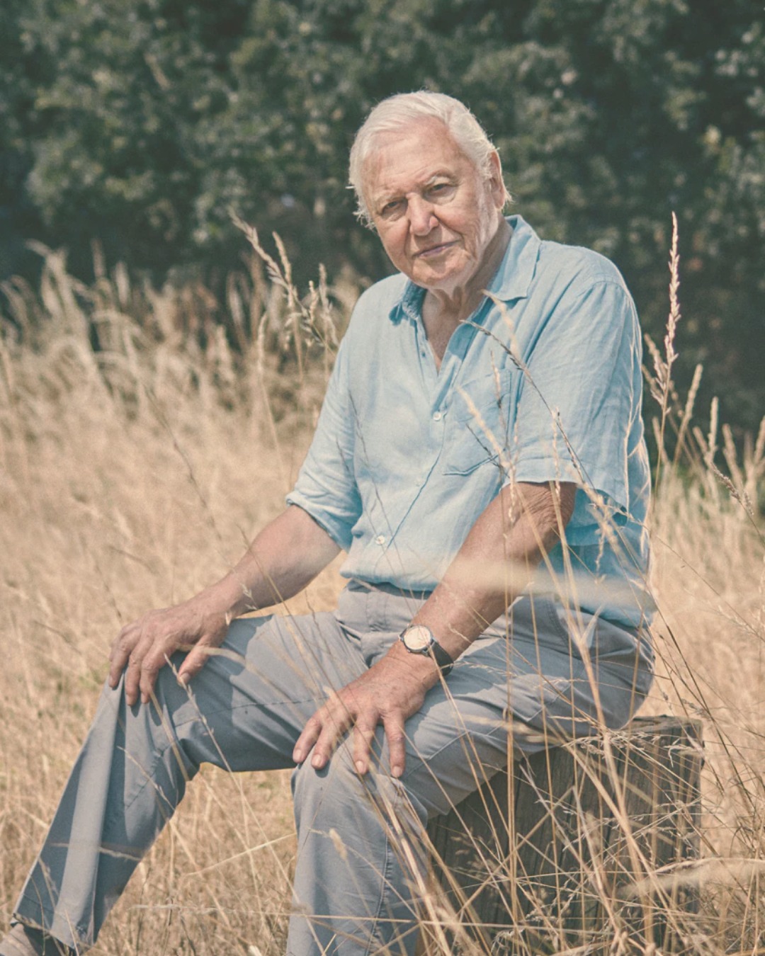 100 years on his beloved planet earth.
We all recognise his voice. We have all been at awe at parts of the world he has shown our eyes, through his own.
We have learned so much from this man, over the course of his life. And, we still do. His words about caring for our planet and how to look after it - matter now more than ever.
He's taurean. The earthiest of the earth signs. Loyal, determined, steadfast. All the things we need in true stewards of our planet.
Happy birthday @davidattenborough We all thank you and are grateful to share the earth with you.