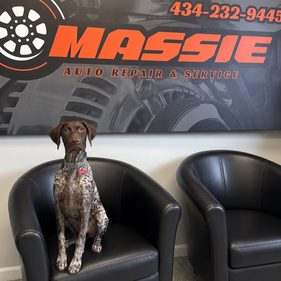 Meet Birdie — our shop dog.
She’s as friendly as they come and always ready to greet you with a wagging tail and a good attitude. Around here, she’s part of the crew… keeping morale high and making sure every customer feels welcome the second they step in the door.
If you stop by Massie Auto Repair & Service, don’t be surprised if Birdie beats us to the front counter. She takes her job seriously.
Good service. Honest work. And one solid shop dog.