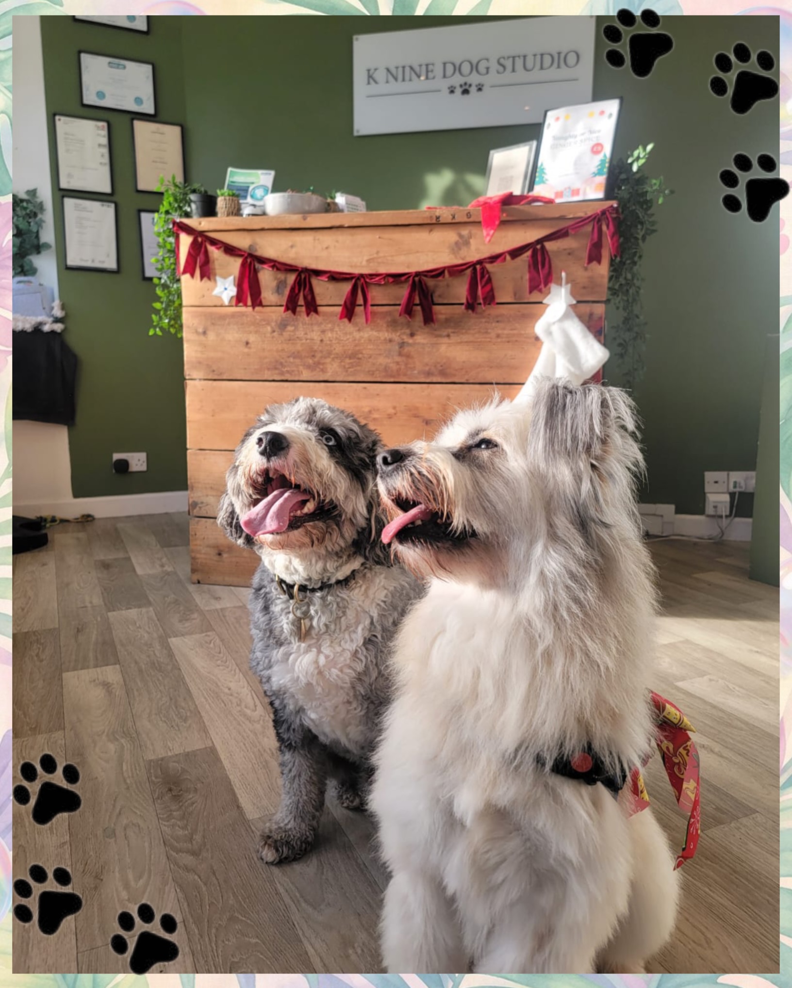 🐾 Just two besties hanging out at K Nine Dog Studio! 🤎
Our May availability is now looking very limited! We only have a few spaces left for:
✨ Puppy Washes
✨ Bath & Blow Dries
✨ Nail Clips
✨ 30 Minute Services
Unfortunately, we are now fully booked for Full Grooms for May ✂️🐶
To avoid disappointment, we highly recommend booking at least TWO appointments in advance when collecting your fluffy bestie 🐾
We’re always happy to book these for you in salon, or you can easily book online!
We want every pup to have the best K Nine experience possible 🤎✨
#KnineDogStudio #DogGrooming #DogGroomer #PamperedPup #cotswolddogs