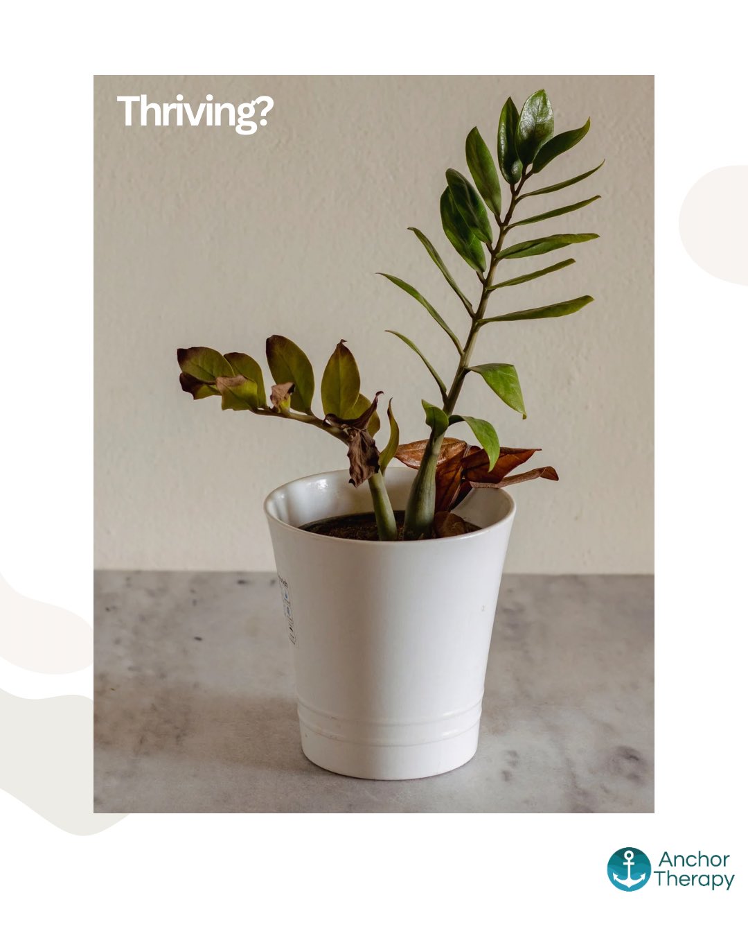 Burnout.
Two branches. Same plant. Different stories.
One is thriving: green, full, reaching outward.
The other is wilted: tired, depleted, barely holding on.
From the outside, people often only see the “thriving” side. The productivity. The success. The version of you that shows up, delivers, keeps going.
But what they don’t always see is the other side. The burnout, the stress, the quiet exhaustion that shows up when you get home. In your relationships and in your energy. In how heavy everything feels.
Sometimes we’re not actually thriving, we’re just really good at masking.
So what would more balance look like for you?
Maybe it’s:
💛Not pouring everything into work and leaving nothing for yourself
💛Letting “good enough” be enough
💛Having boundaries that protect your energy, not just your output
💛Checking in with how you feel, not just how you perform. Notice your body.
💛Allowing rest and what this looks like for you before you reach the point of burnout.
Practice small changes.
@ailisodeaot
#occupationaltherapy #burnoutprevention #workandbalance