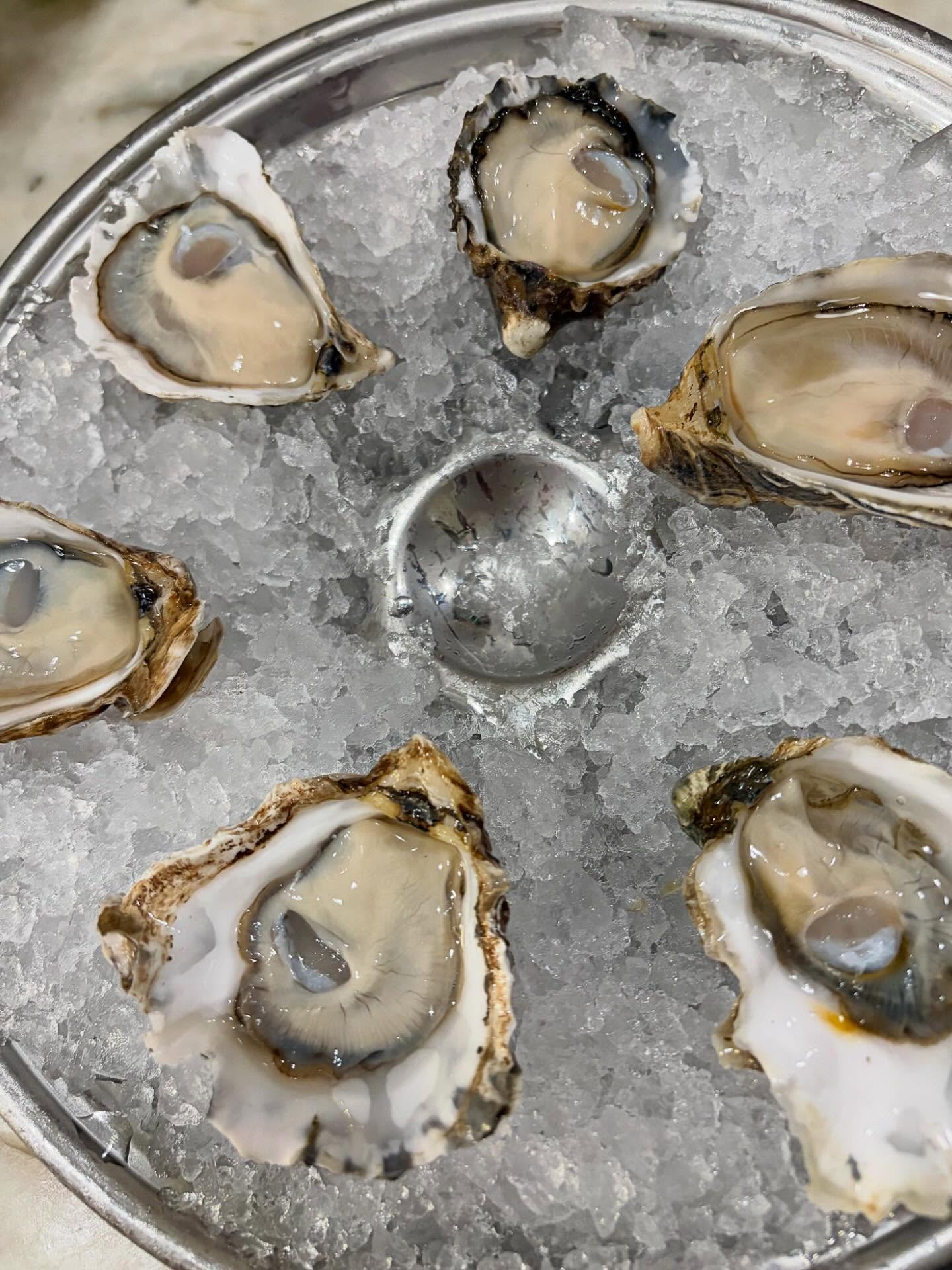 Oysters, early in the morning should be a bigger thing