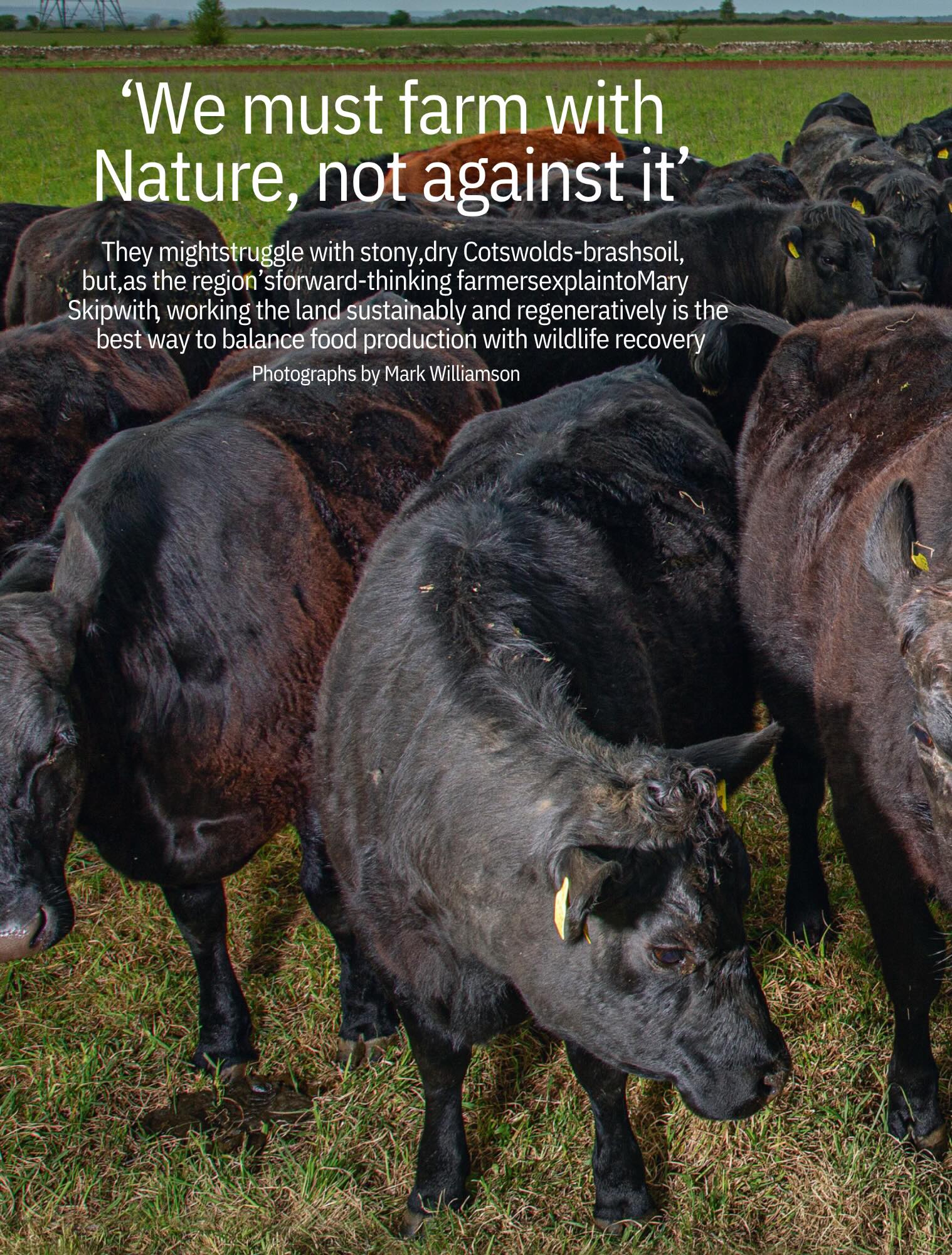 Wonderful to see so many familiar faces in this month’s @countrylifemagazine getting well deserved recognition for their passion, innovation and commitment to driving the future of farming and food systems.
Thank you @countrylifemagazine @maryskipwith for recognising them and to @markwilliamson_images for capturing 📸
Make sure you get your copy, it’s a perfect read for a Sunday!
#RegenAg #CotswoldFarmers #Farming #FarmingUK #NECotsCluster