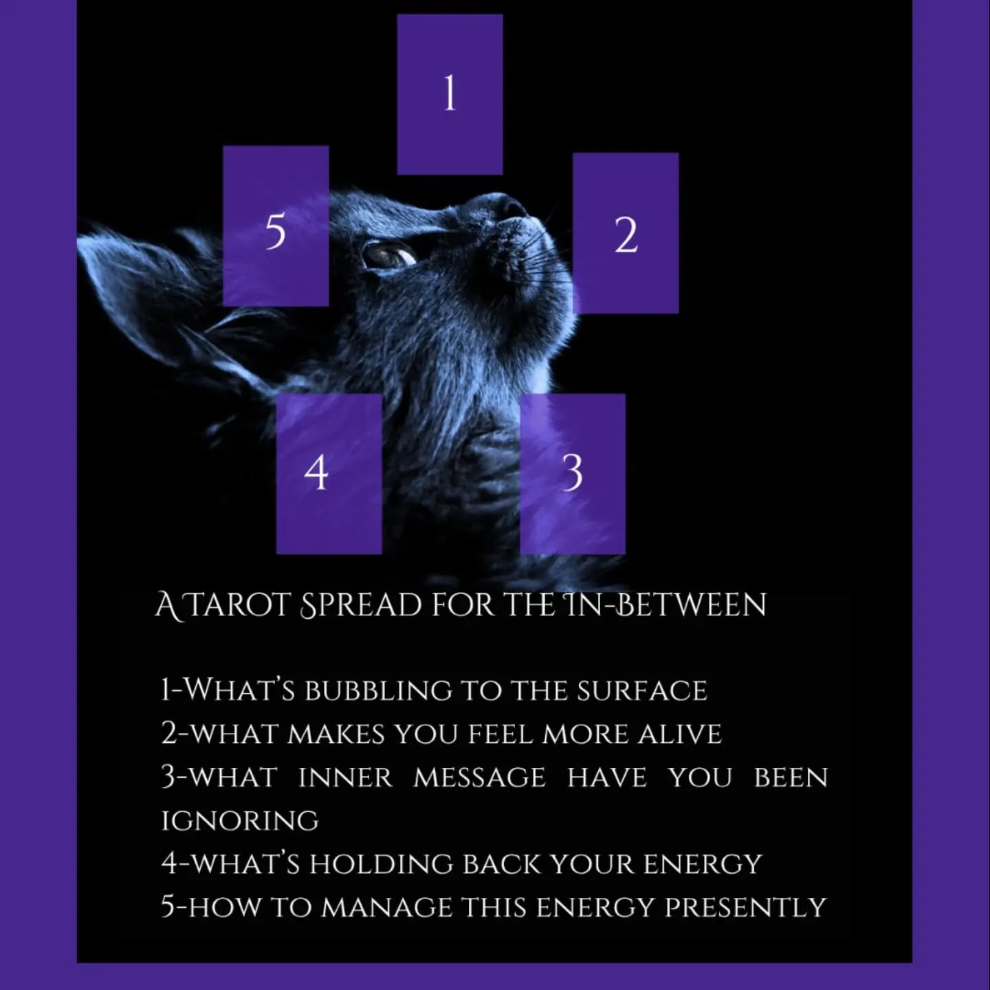 WHAT'S 🫧 BUBBLING TO THE SURFACE?
Being in-between chapters can feel like a dead-end.
But you deserve to be able to be honest with yourself about your true desires and needs.
Here's a deep-reflection tarot spread (or journal prompts)
To help you tune in to "what's rising for you." Whether you are looking at a new opportunity, relationship or life path change... It's not always easy to see whether this new spark or idea actually connects to your higher path, will and desire.
Tag me if you try it 🌷🫧🌷 @purely_intuitive
1- What's bubbling to the surface?
2- What makes you feel more alive?
3-What inner message have you been ignoring?
4-What's holding back your energy?
5-How to manage this energy presently?
#intuition #intuitionalignment #tarotspread #purposecheckin #tarotforselfdiscovery