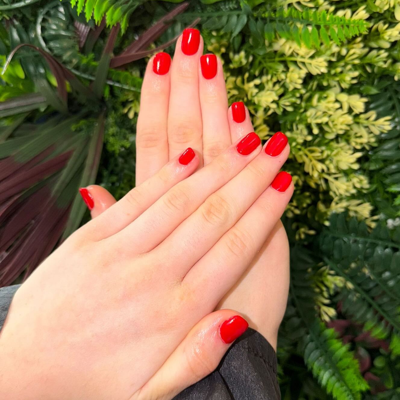 Spring is calling and these BIAB beauties answered 🌿🌸❤️
Fresh, glossy cherry red nails by Senior Beautician Jemma — bold, bright, and blooming with confidence ✨
Nothing says new season like a pop of colour against lush greens 🌱🍃
Strong, sleek, and oh-so-shiny… your spring nail obsession starts here 💅