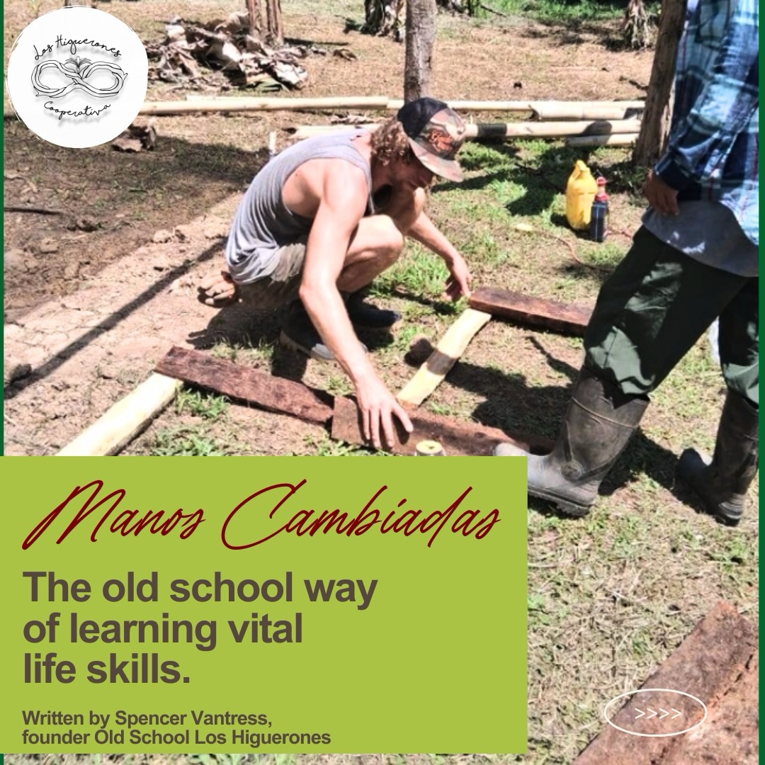 La historia de Spencer sobre sus experiencias con «Manos Cambiadas» celebrar a todas las personas que preservan las tradiciones y las habilidades prácticas para las generaciones futuras.
En este Día Internacional de los Trabajadores, también celebramos el aniversario del programa «Manos Cambiadas», que impulsa el resurgimiento de una tradición que teje relaciones, satisface necesidades y promueve el intercambio no monetario basado en la solidaridad y la confianza.
Mañana publicaremos la versión en español!
Cómo lo celebras hoy?