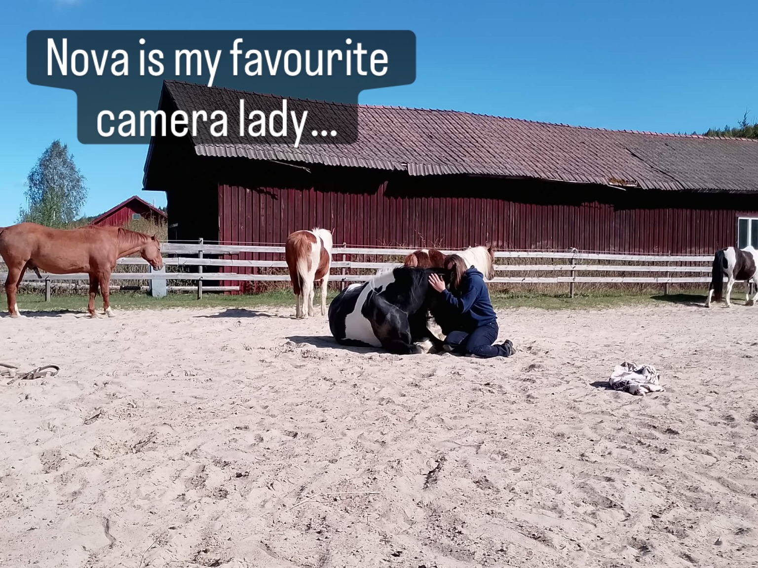 If you ever wonder how we get so many wonderful pictures and video’s… meet Nova. This is her in her natural state. And that makes working with her so perfect, besides a zoom lense that allows extra space for me and the horses, Nova is surrounded with ease and love for horses ❤️🙏
@nova.vz