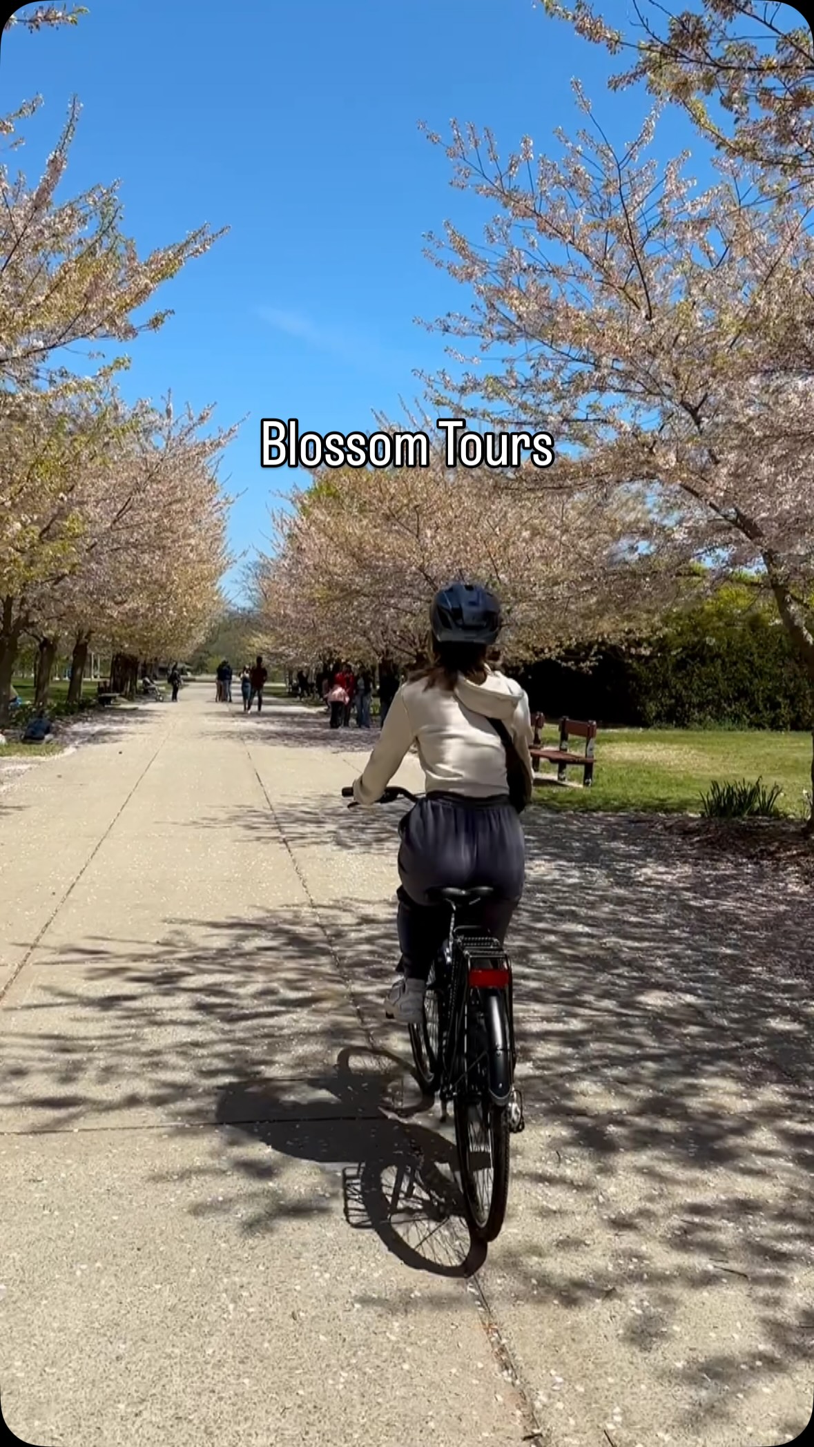 Spring in Toronto, blooming everywhere! Join us for a pedal through the petals.
#pedalToronto #CherryBlossoms #GetYourGuide #TorontoIslands #ActiveTravel