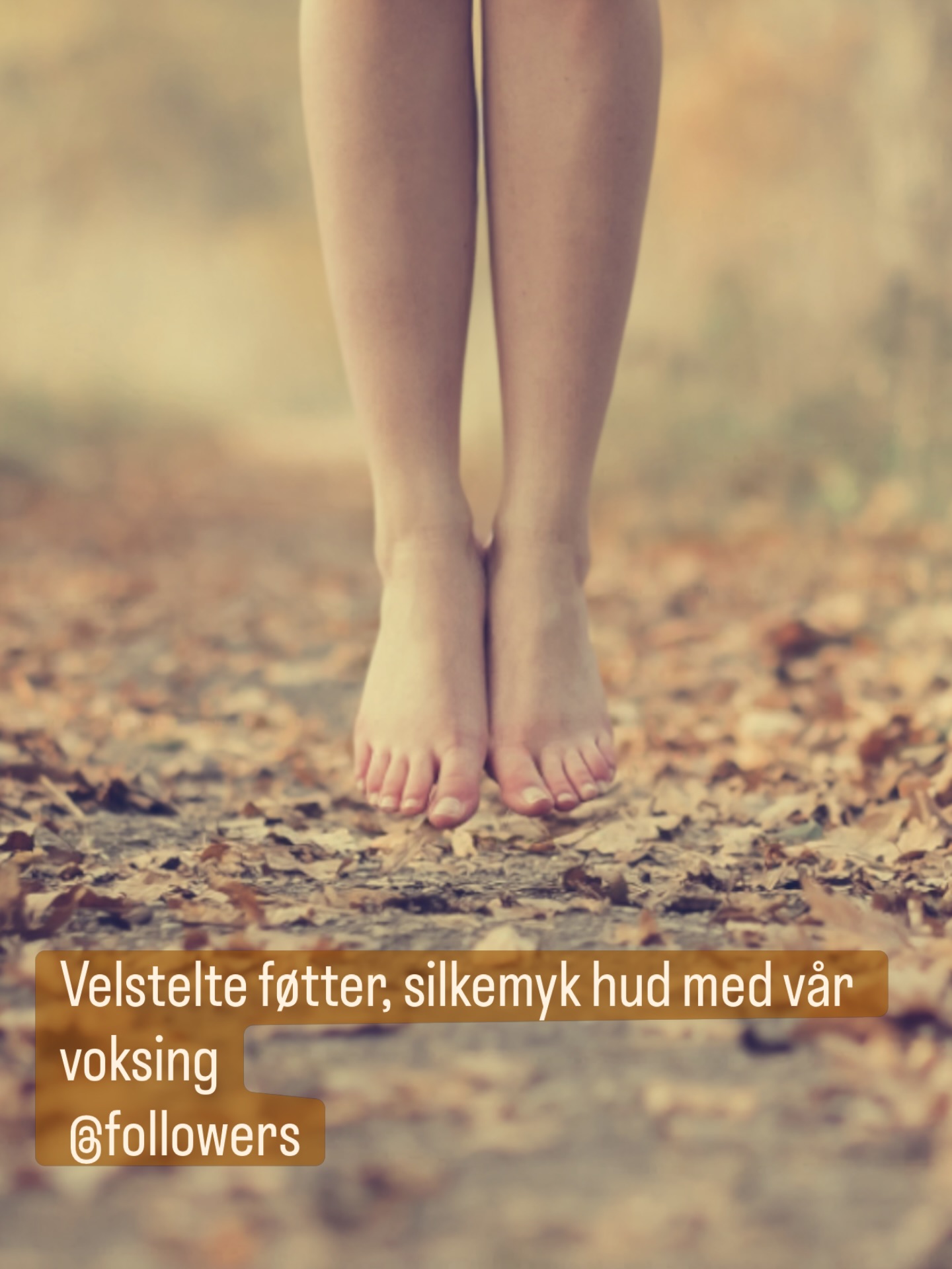 ✨ Silkemyk hud, velpleide føtter og følelsen av ren luksus…
Gi deg selv litt ekstra velvære før 17. mai 🇳🇴
Denne uken har vi satt inn ekstra bemanning for å gjøre deg fresh, myk og klar for festdager, vårsko og lange kvelder 🌸
Book din fotpleie, spa- eller velværebehandling og nyt følelsen av pleie fra topp til tå.
BOOK Nå👇
https://www.lillehammerspa.no/haarfjerning
Soft skin. Fresh feet. Luxury feeling.
Because you deserve to glow this May ✨
#fotpleie #velvære #silkemykhud #spa #selfcare 17mai freshfeet wellness egenpleie pedicure luxuryfeeling spaday glowup relax smoothskin luksusifølelsen beautycare feetcare mayglow norskspa unwind treatyourself softskin wellbeing 17maiklar spaopplevelse freshlook springglow metime wellnessjourney