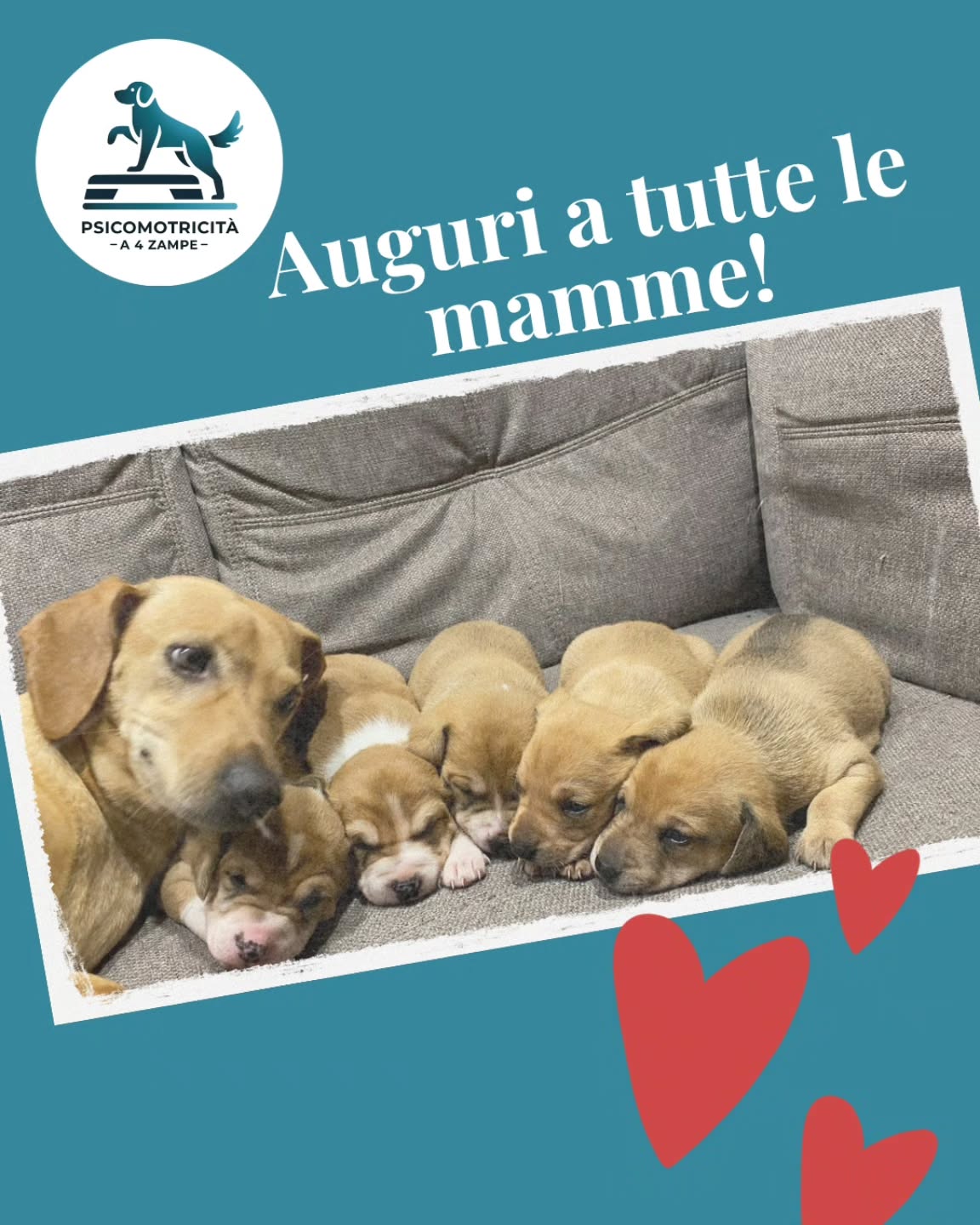 Auguri a tutte le mamme.
A quelle a 2 zampe e a quelle a 4 zampe.
Perché una mamma non è solo chi mette al mondo.
È chi si prende cura, chi protegge, chi insegna piano piano a crescere e affrontare il mondo.
A tutte quelle che ogni giorno danno amore, tempo ed energie… buonissima Festa della Mamma! 🐾💙