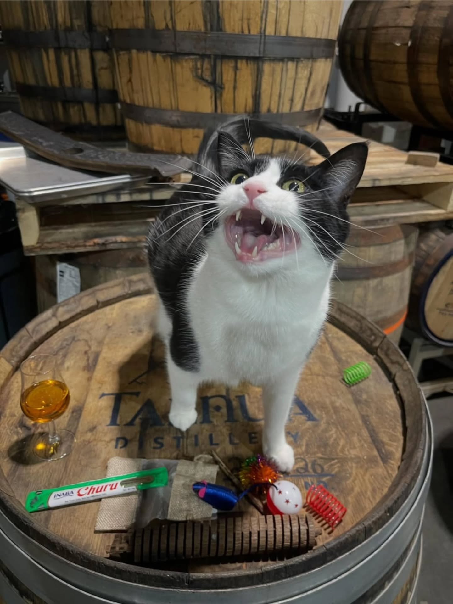 LAST CALL!! 20% OFF BOTTLES END TODAY!!
As a thank you for voting us Best Colorado Distillery and Best Colorado Distillery Tasting Room we have our final day of sale for bottles at 20% off. - Bó šāā¬š„
*Excludes Olde Saint's Keep 2026